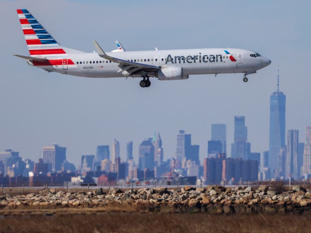 <p>Shana Wall said she ingested the drink on an American Airlines flight to Rome </p>