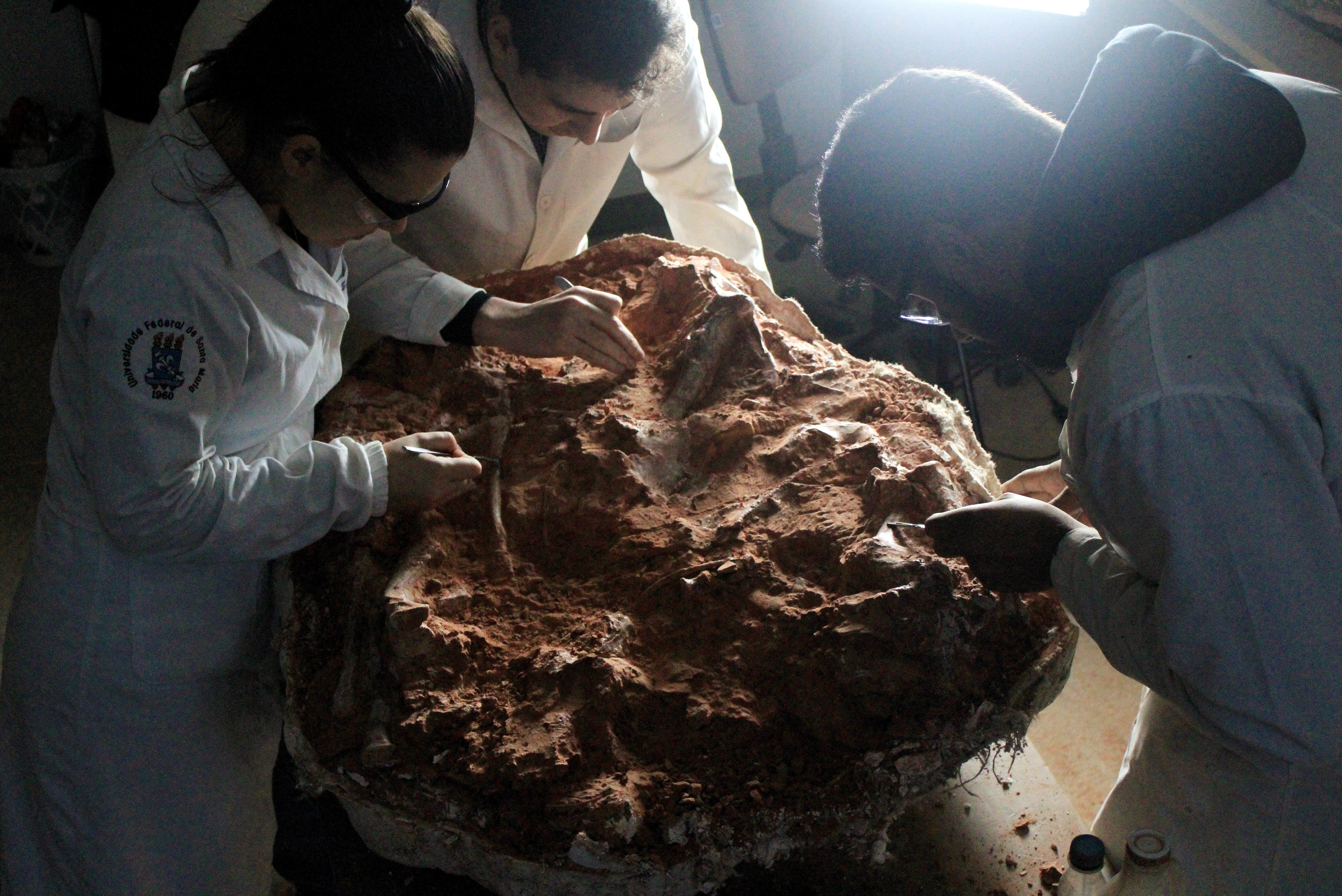 Picture released by the Federal University of Santa Maria (UFSM) on 18 July 2024, showing paleontologist working on a dinosaur fossil was discovered in Sao Joao do Polesine, Rio Grande do Sul, Brazil