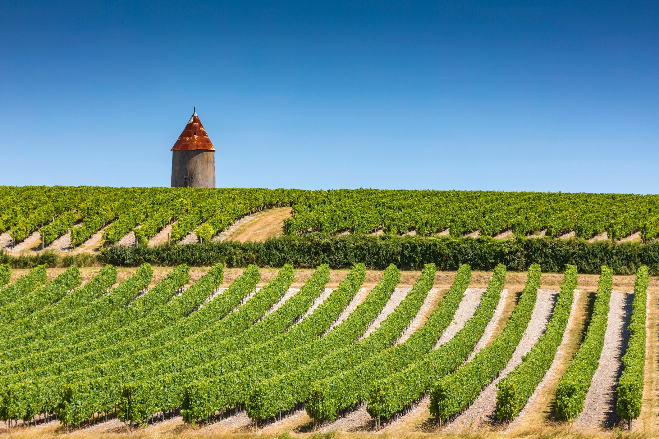 A basic cognac house tour costs €29 and includes a tutored tasting