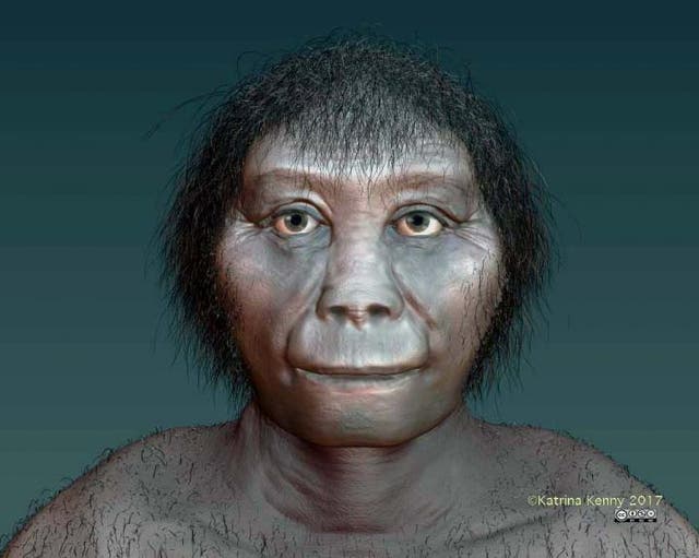 <p>Impresión artística de Homo floresiensis</p>