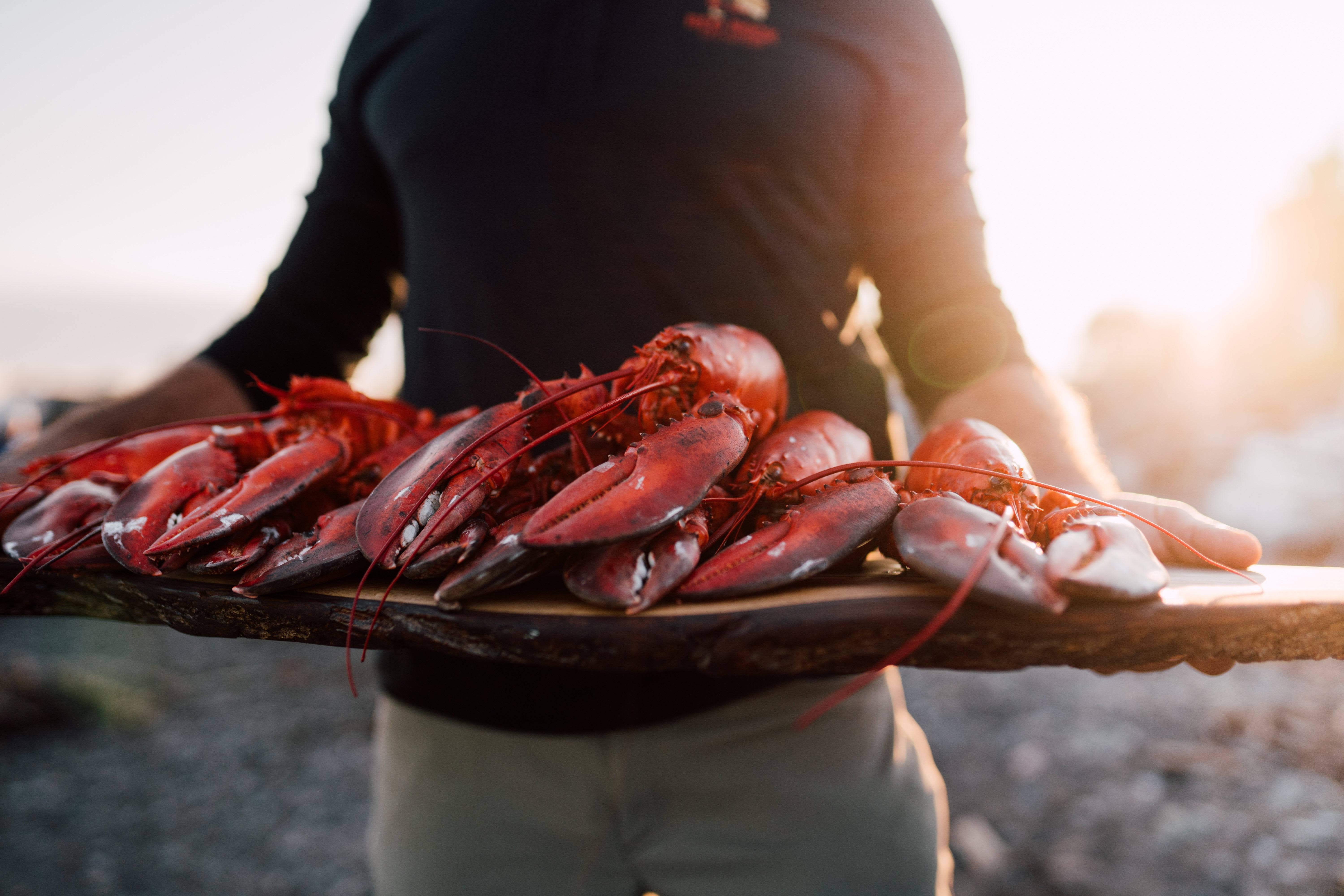 Tuck in: Lobsters are on the menu