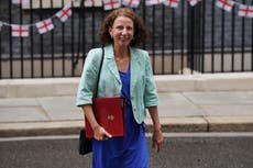 Annaliese Dodds had to resign over cutting aid to the world’s poorest people