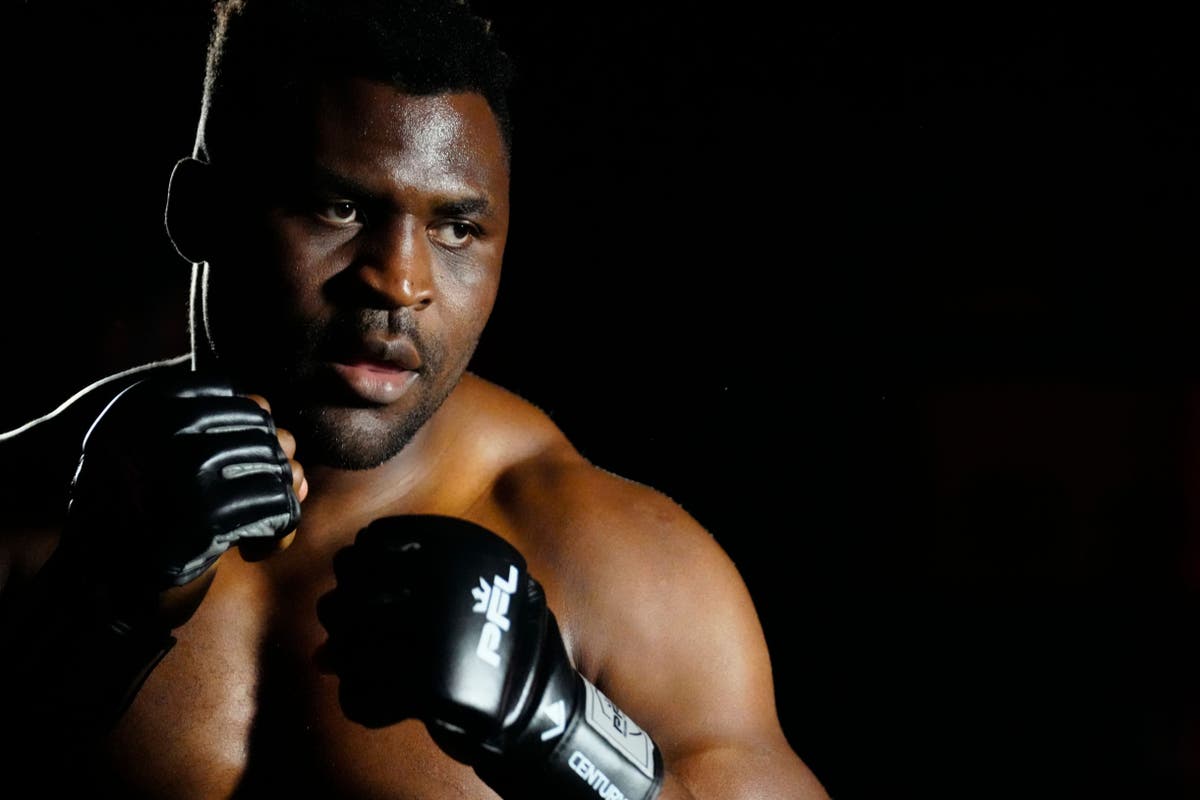 Francis Ngannou to Fight Renan Ferreira on October 19