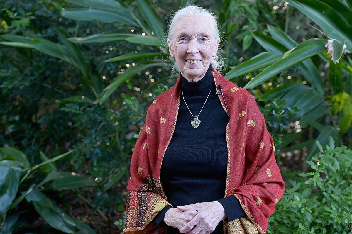 The Climate 100 List: At 90, primatologist Jane Goodall is still on her lifelong crusade to protect nature