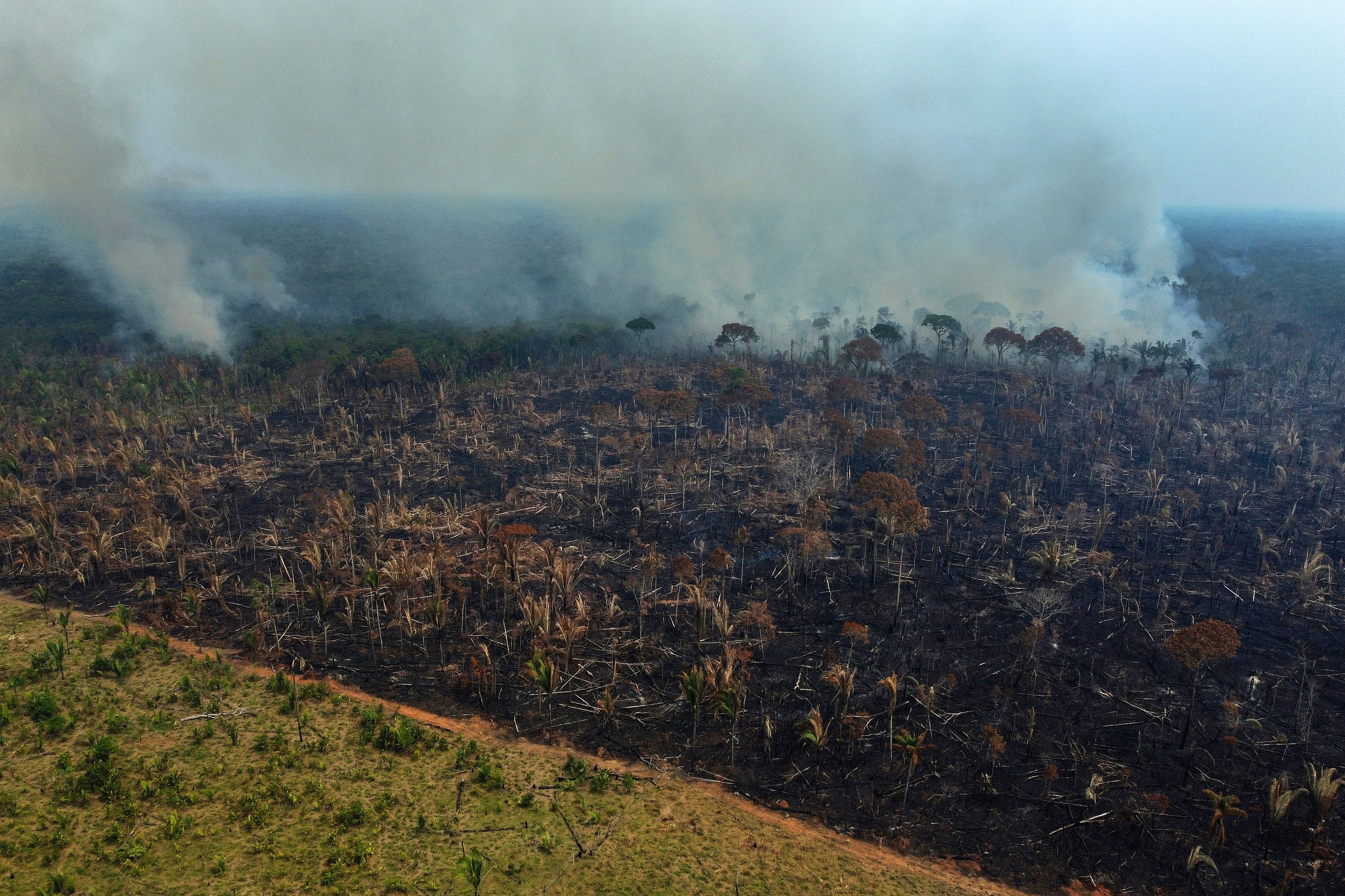 Brazil Less Deforestation