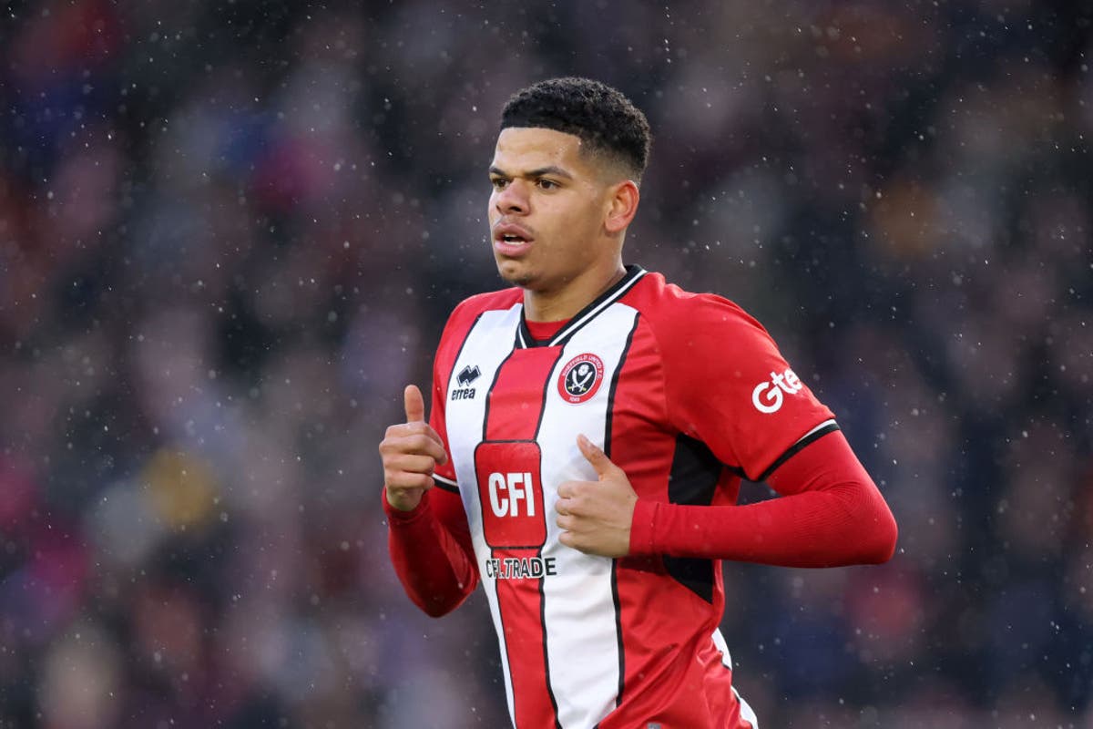 Newcastle add to striker ranks with William Osula signing from Sheffield United Newcastle add to striker ranks with William Osula signing from Sheffield United