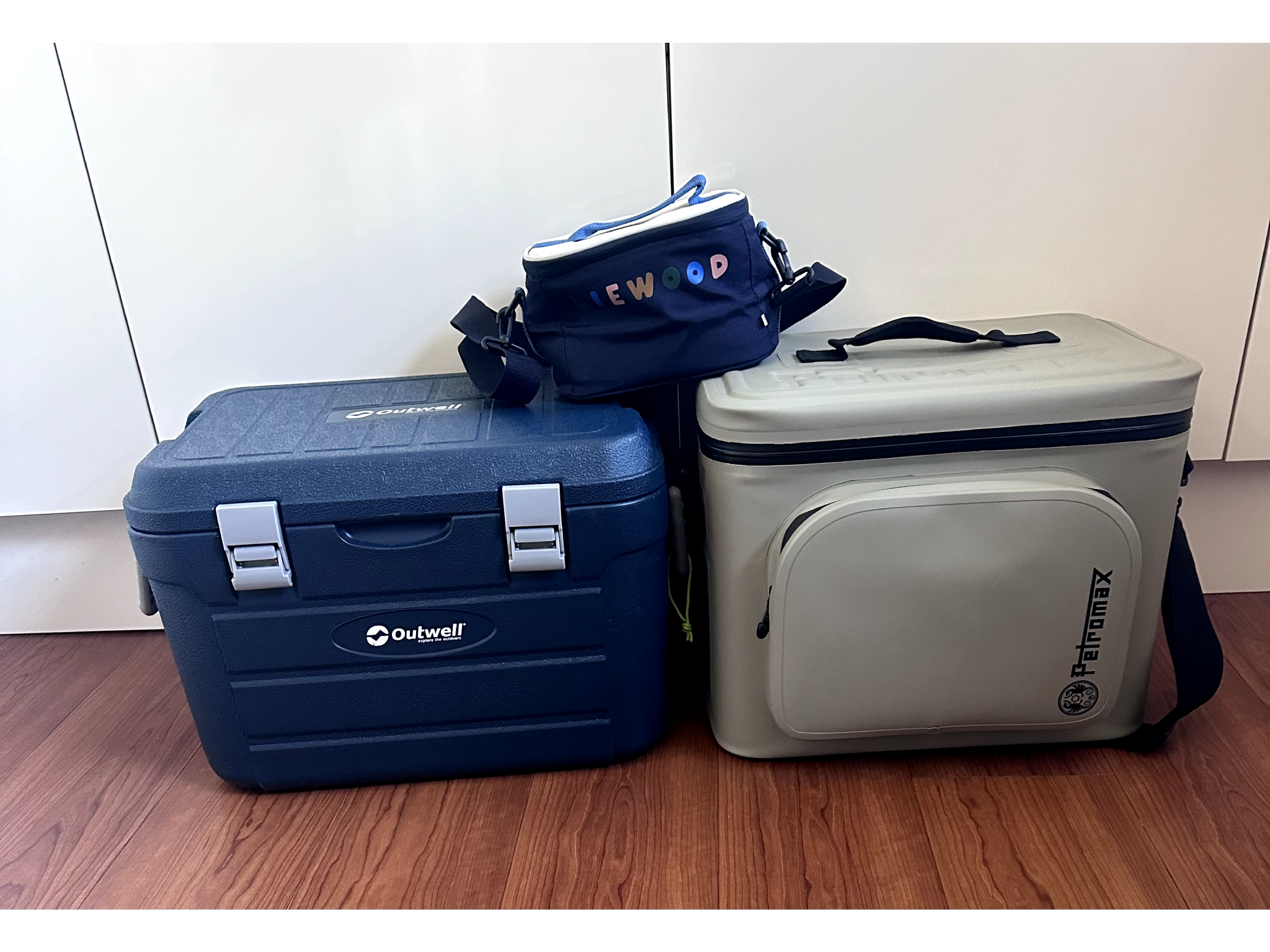 Fashionable cooler bags on sale