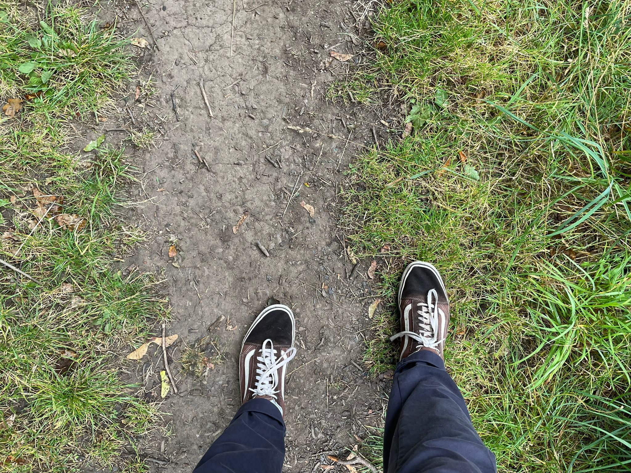 All you need to do to up your daily step count is lace up your shoes and leave the house