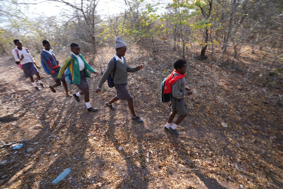 In Zimbabwe, schoolchildren face threats from animals. Now they are learning how to spot the dangers