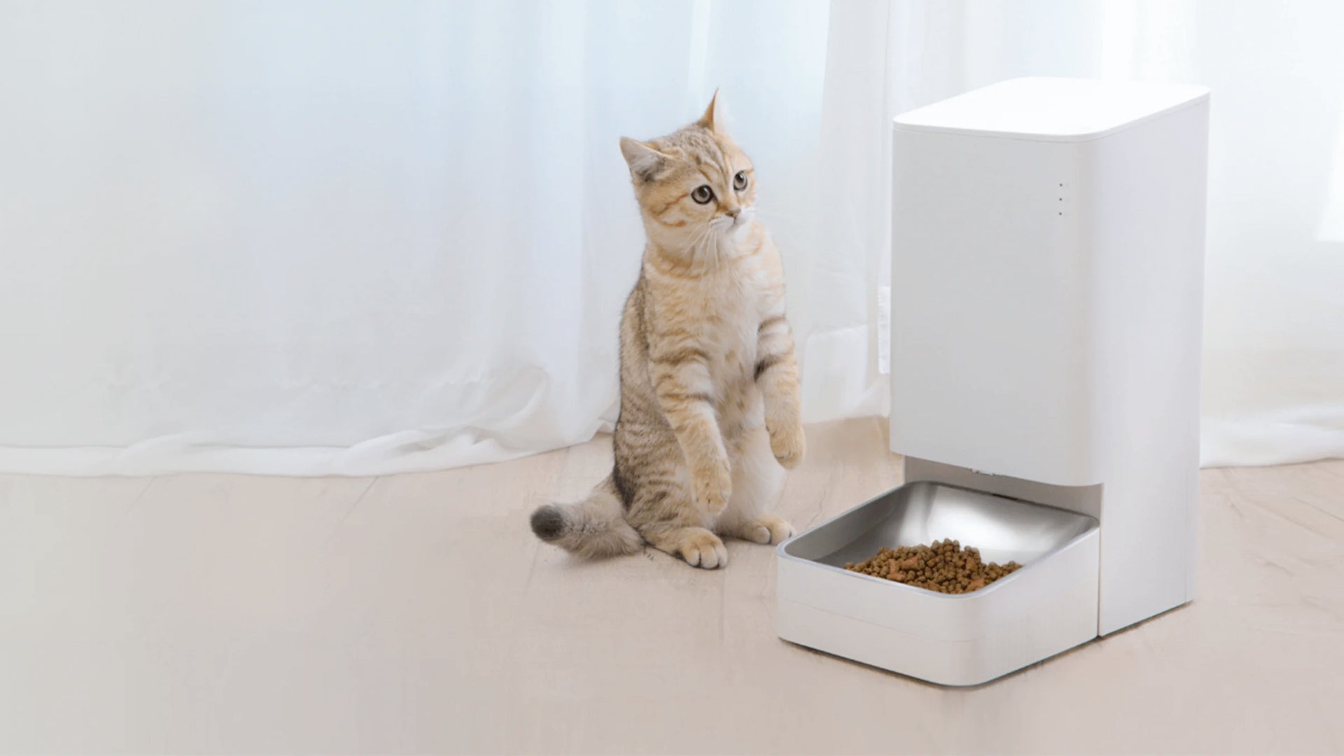 Xiaomi Smart Pet Feeder, £59.99, was £84.99 (Xiaomi/PA)