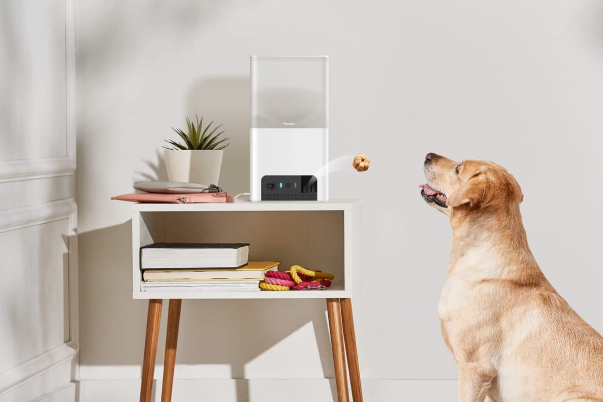 5 of the best bits of tech for pet owners