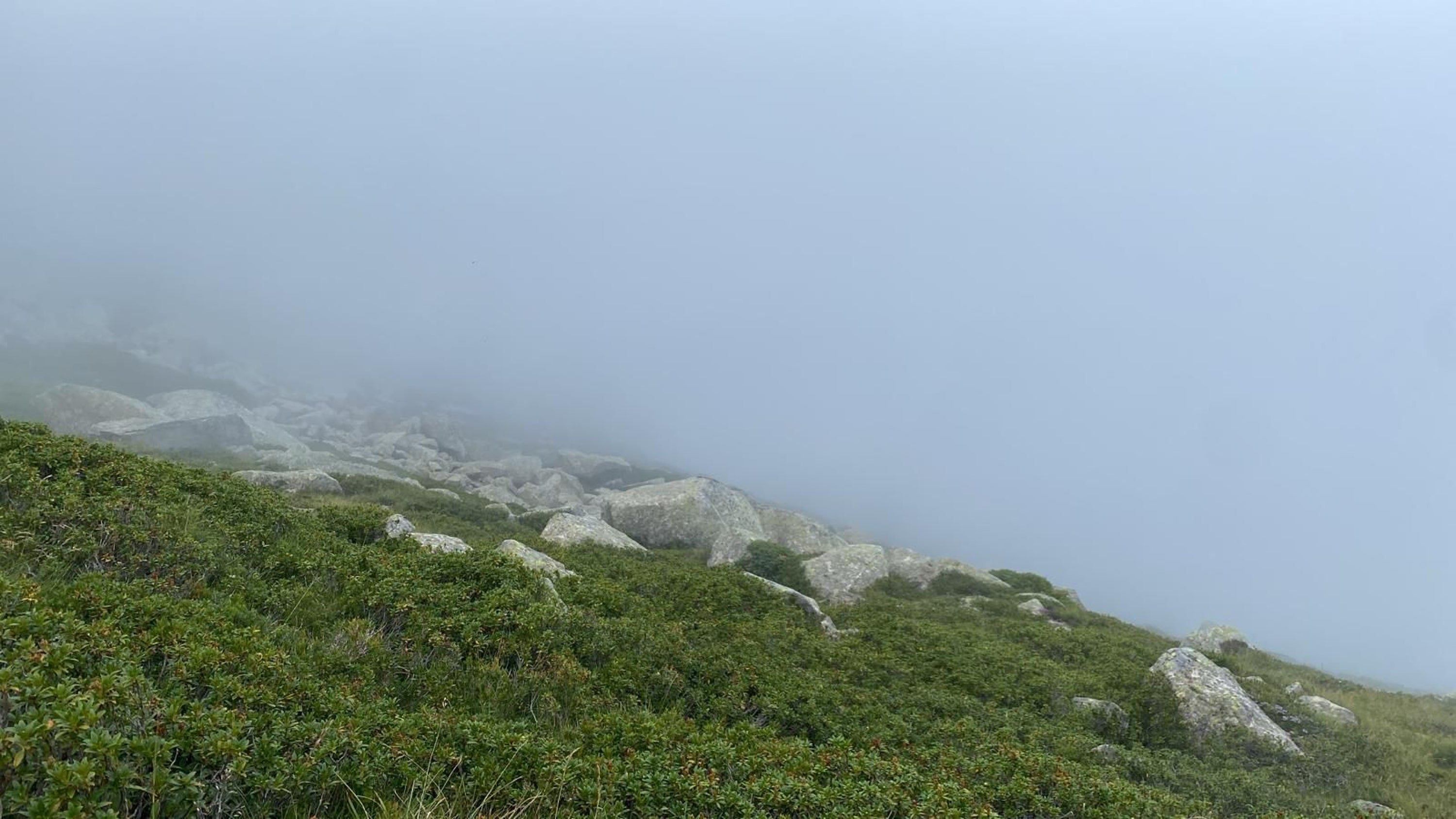 Conditions in the area of the Pyrenees where Mr Doherty went missing have been foggy