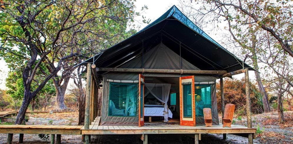 Spend a few nights in the safari tent on the Fathala Wildlife Reserve in Senegal