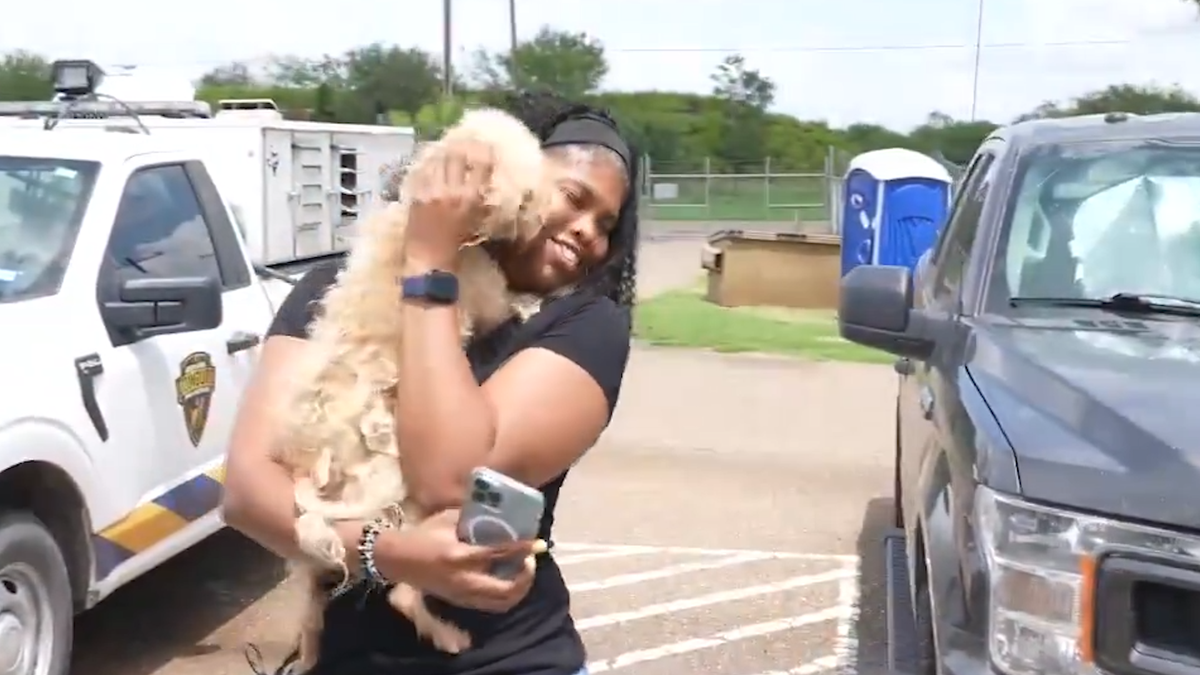 Moment missing dog found 350 miles away from home reunited with owner