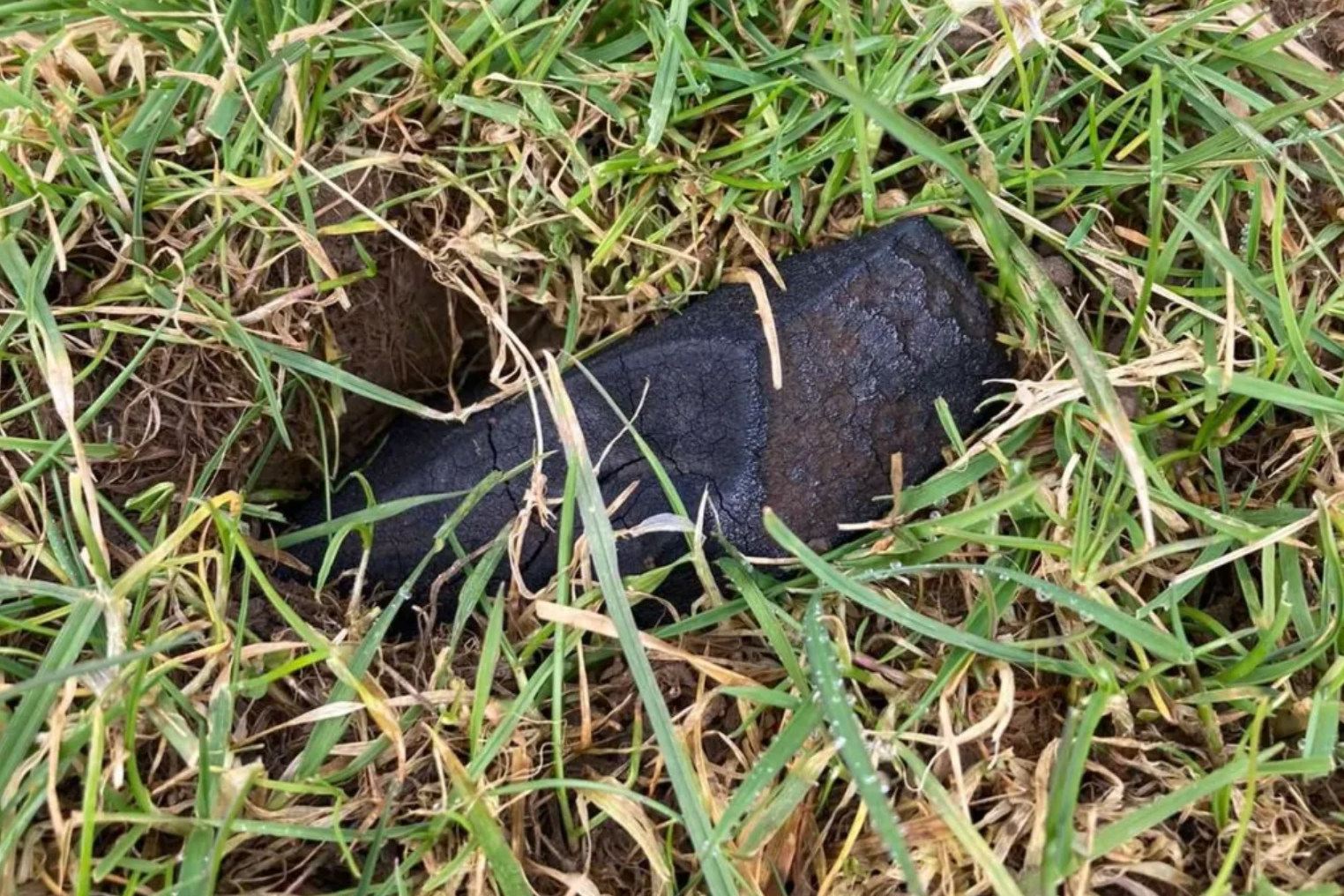 A fragment of the Winchcombe meteorite