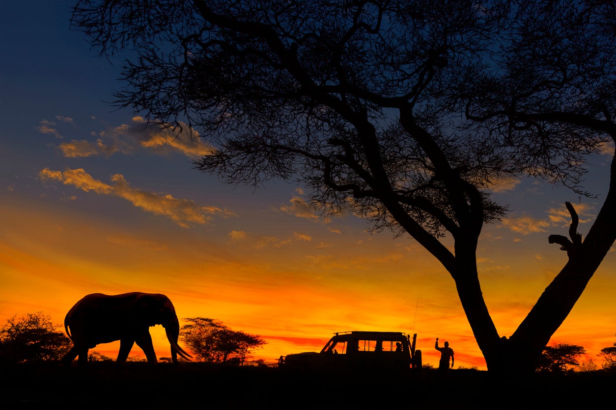 Game drives often take place in the evening when it’s cooler and animals are more active