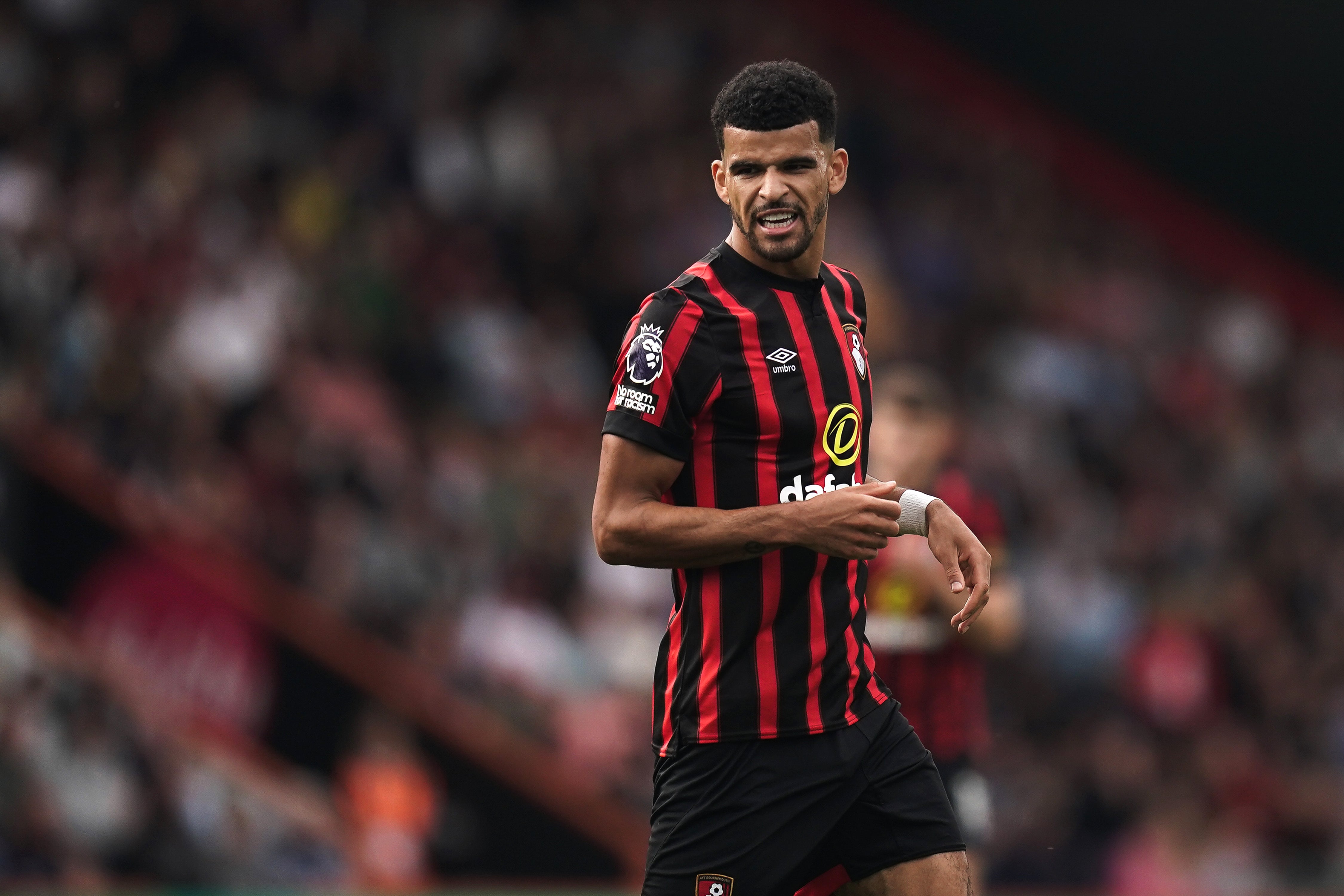 Solanke will be Bournemouth’s club-record sale (Robbie Stephenson/PA)