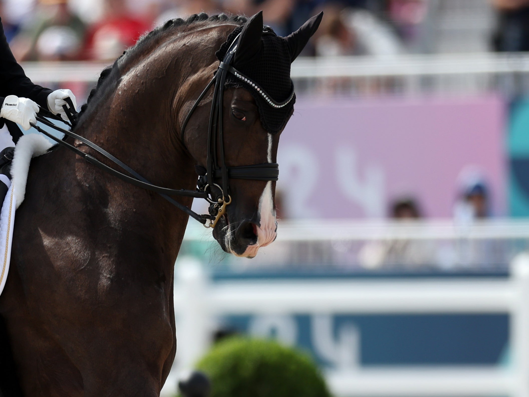 Victoria Max-Theurer and horse Abegglen FH NRW of Team Austria compete in the Dressage Individual Grand Prix Freestyle on day nine of the Olympic Games Paris 2024