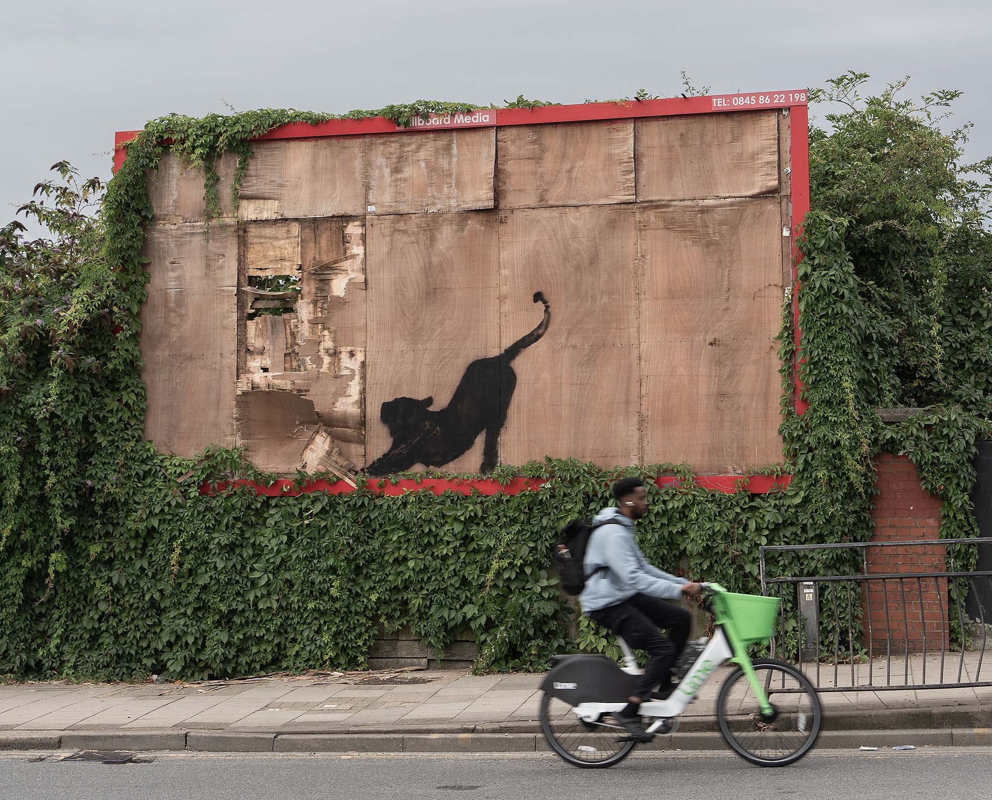 The latest edition to the new animal-themed collection in London by the the elusive street artist Banksy