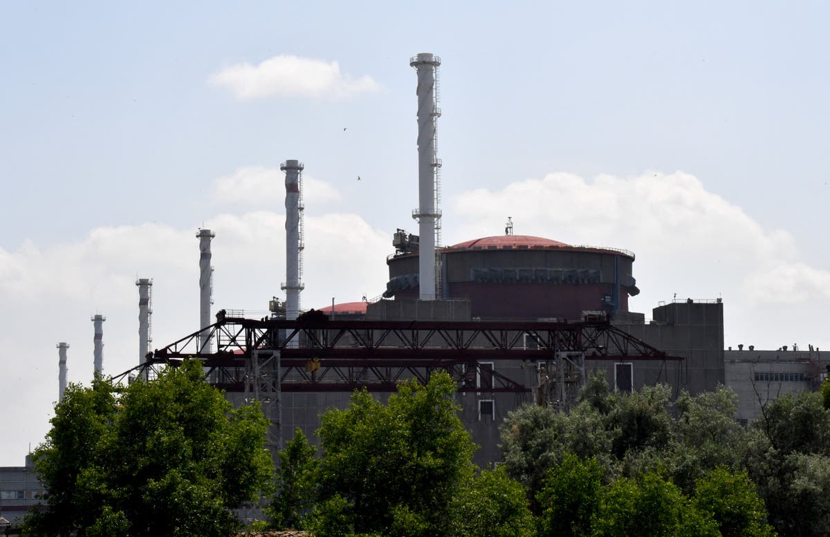 Zaporizhzhia Nuclear Plant Safety at Risk After Strike