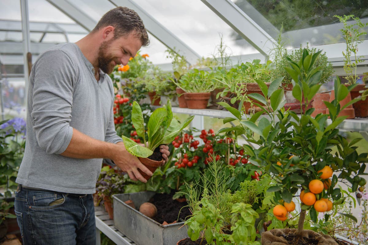 Top tips if you&rsquo;re greenhouse sitting for your neighbour