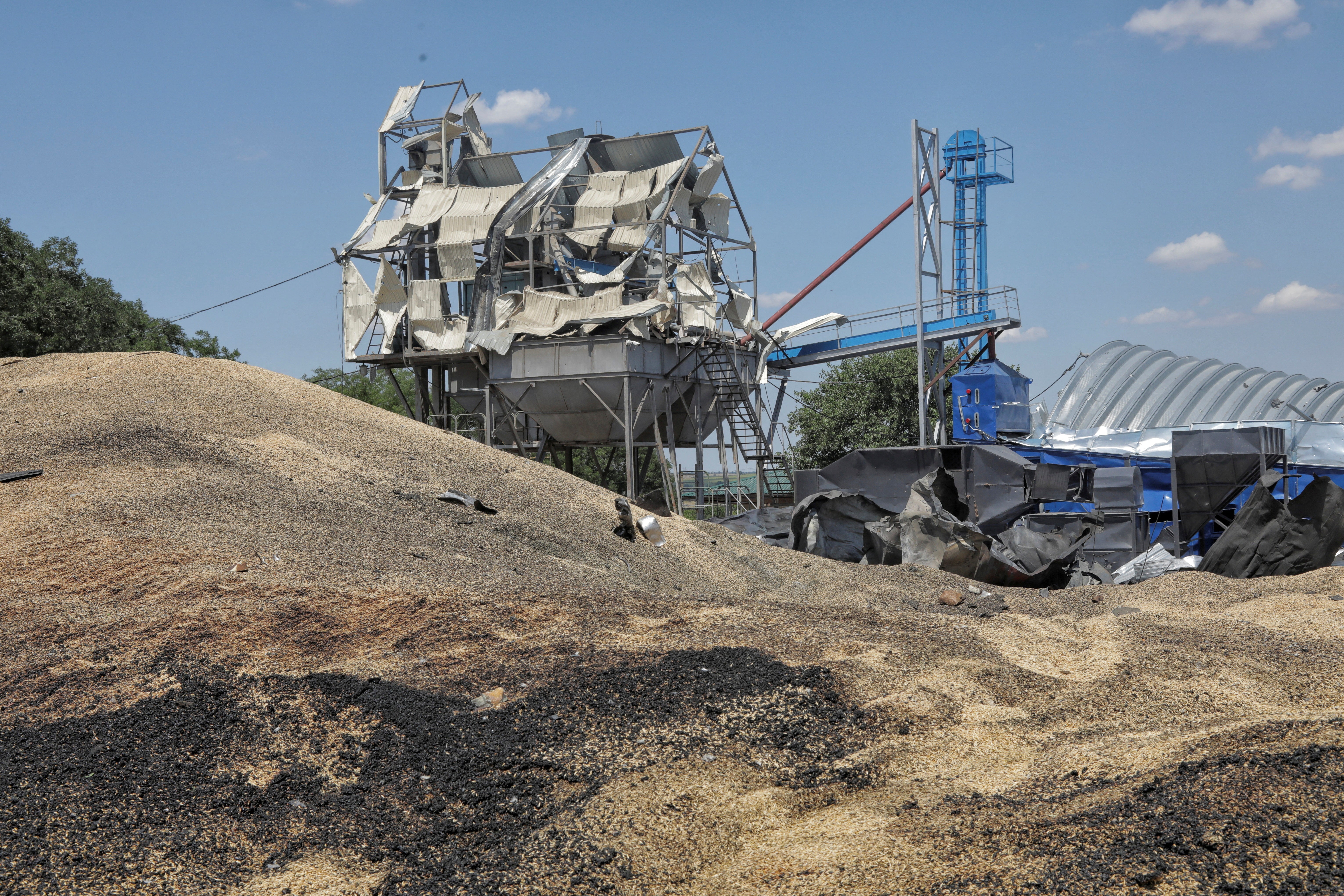 A view shows barley where a grain warehouse was destroyed by a Russian missile strike last month at a compound of an agricultural company in the village of Pavlivka, in Odesa region, southern Ukraine