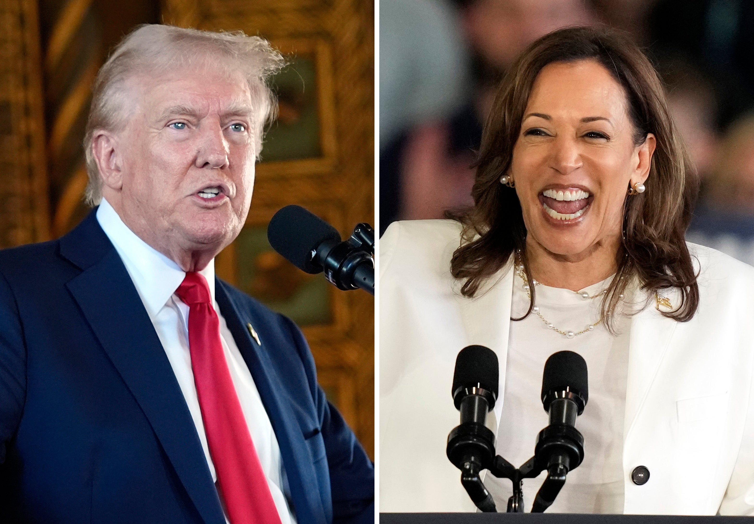 Donald Trump at a news conference on August 8 in Palm Beach, Florida. Left, Kamala Harris speaks at a campaign rally on August 7 in Michigan. Republican pollster Frank Luntz described Trump as his own worst enemy when it comes to declining poll numbers this weekend