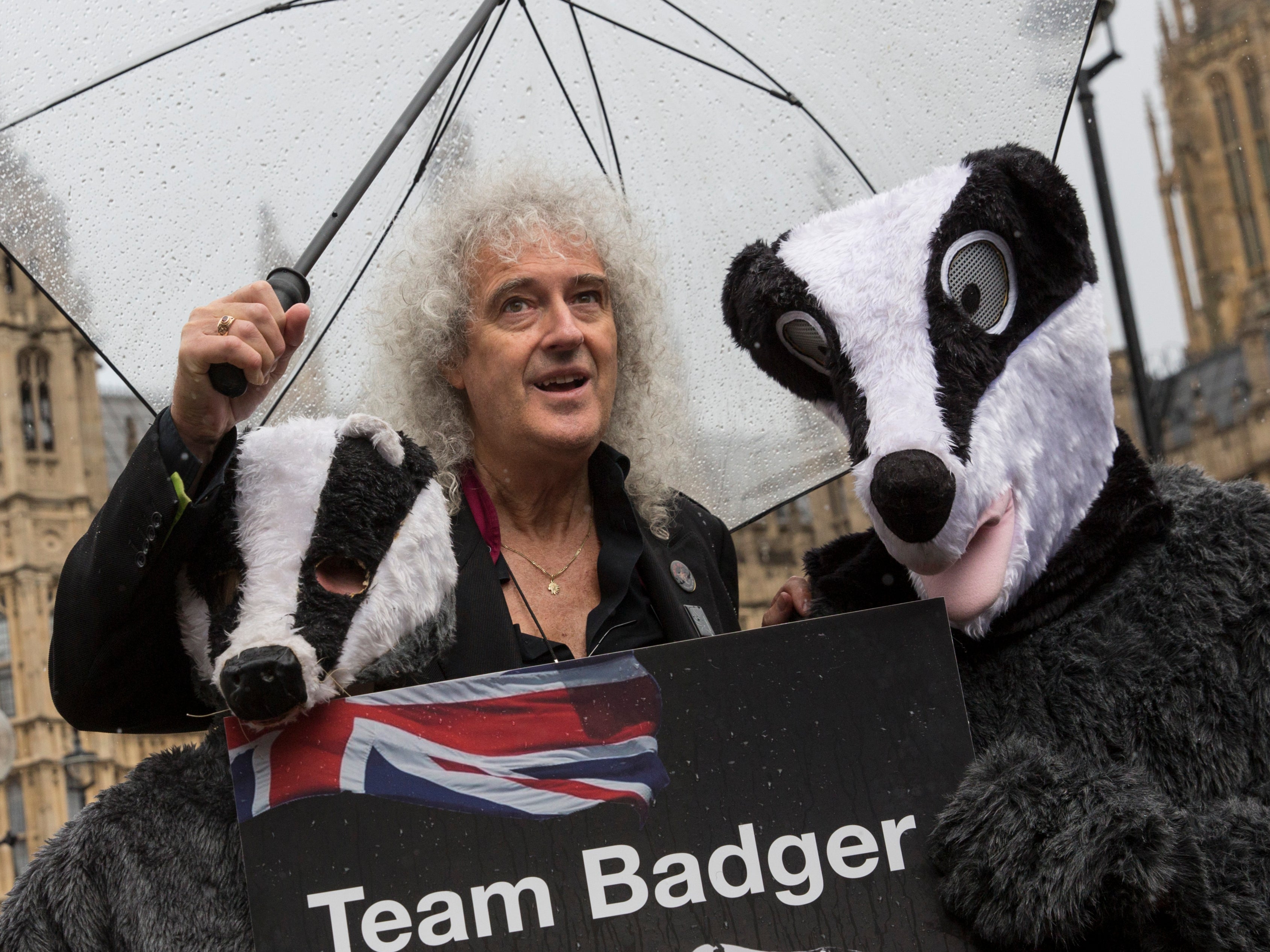 Queen's guitarist has said people will remember the badger cull as one of the biggest and most costly mistakes in history.