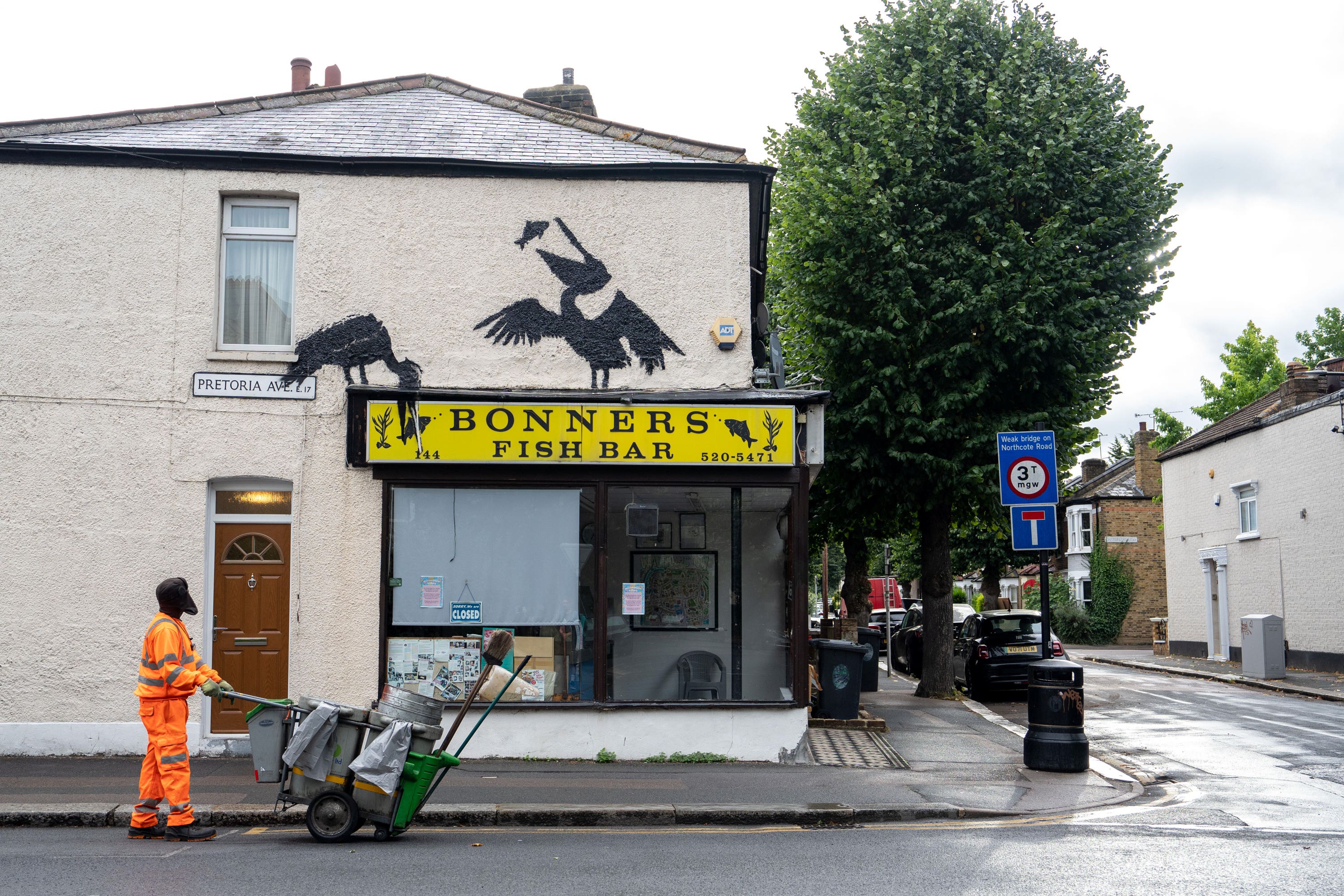 A Banksy artwork depicting pelicans eating fish, painted on the side of Bonners Fish Bar in Walthamstow, east London (Banksy/PA)