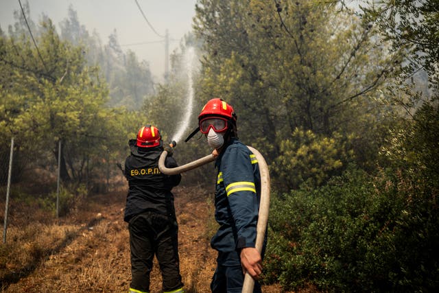 <p>Two firefighters hose down trees in hope of dampening wildfires. </p>