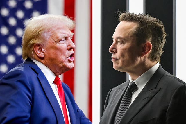 <p>Musk has already publicly declared his interest in a role in Trump’s administration </p>