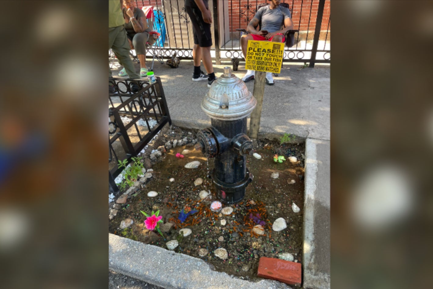 The makeshift aquarium now features a sign asking onlookers to be respectful, and reminding them that they are being watched by a security guard