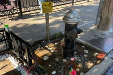 NYC street aquarium reopens but people worry for fish in heat wave