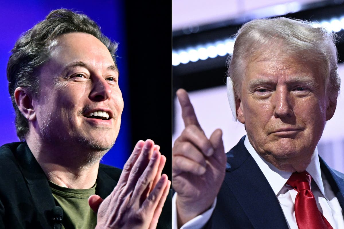 Trump and Musk interview postponed as X users cannot see it after “attack” – live