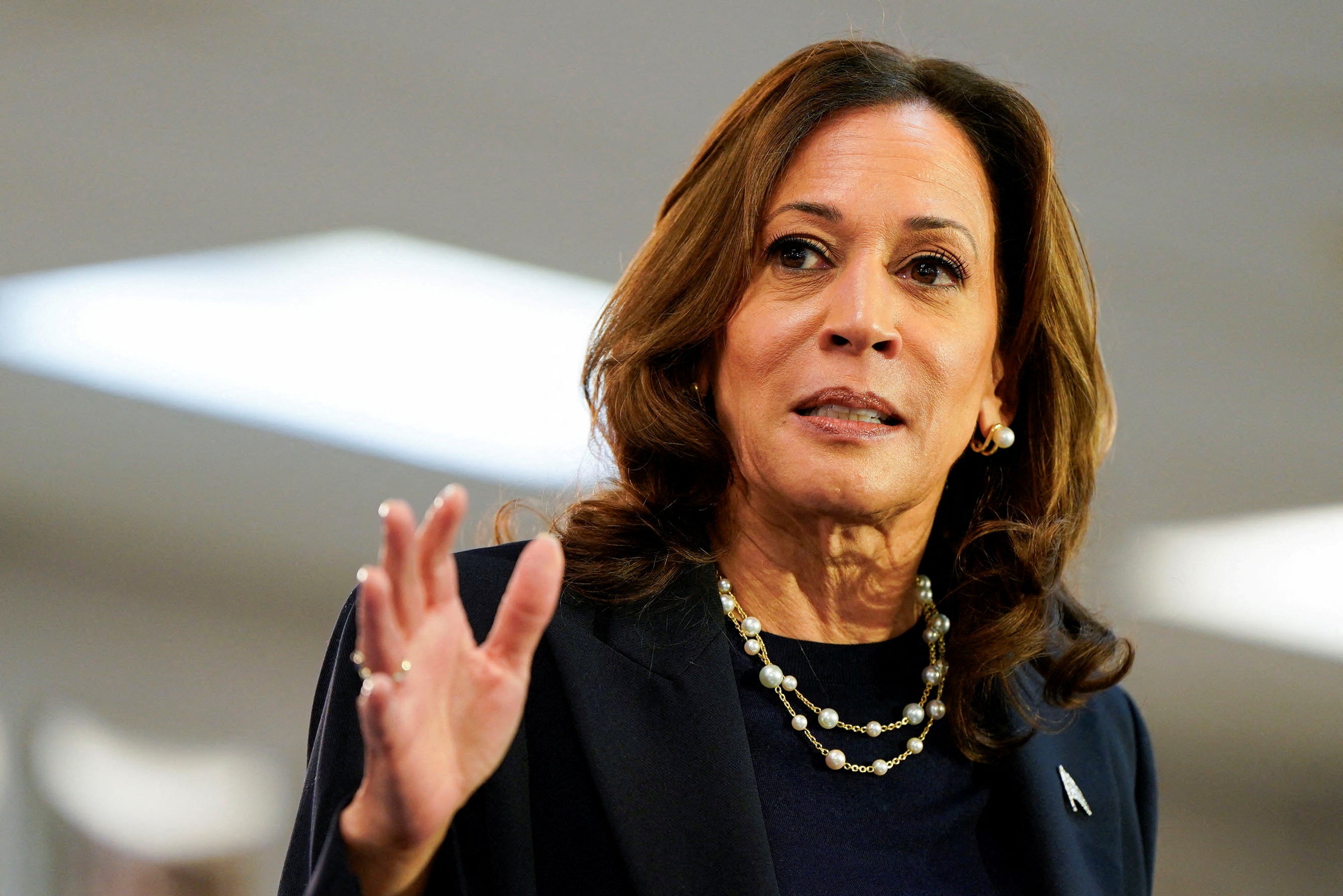 Vice president and Democratic presidential candidate Kamala Harris speaks during a campaign event in Wayne, Michigan