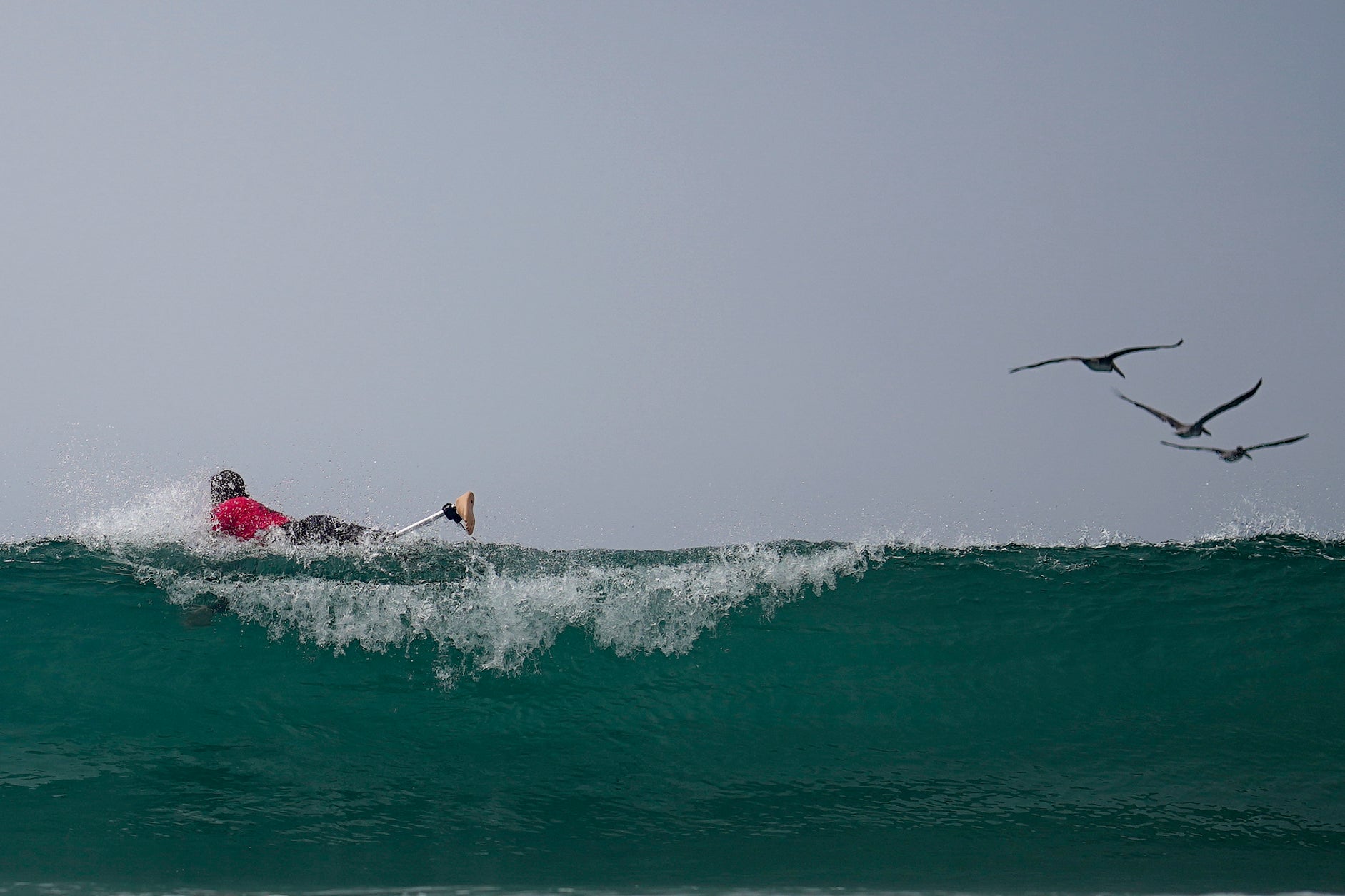 Paralympic Surfing