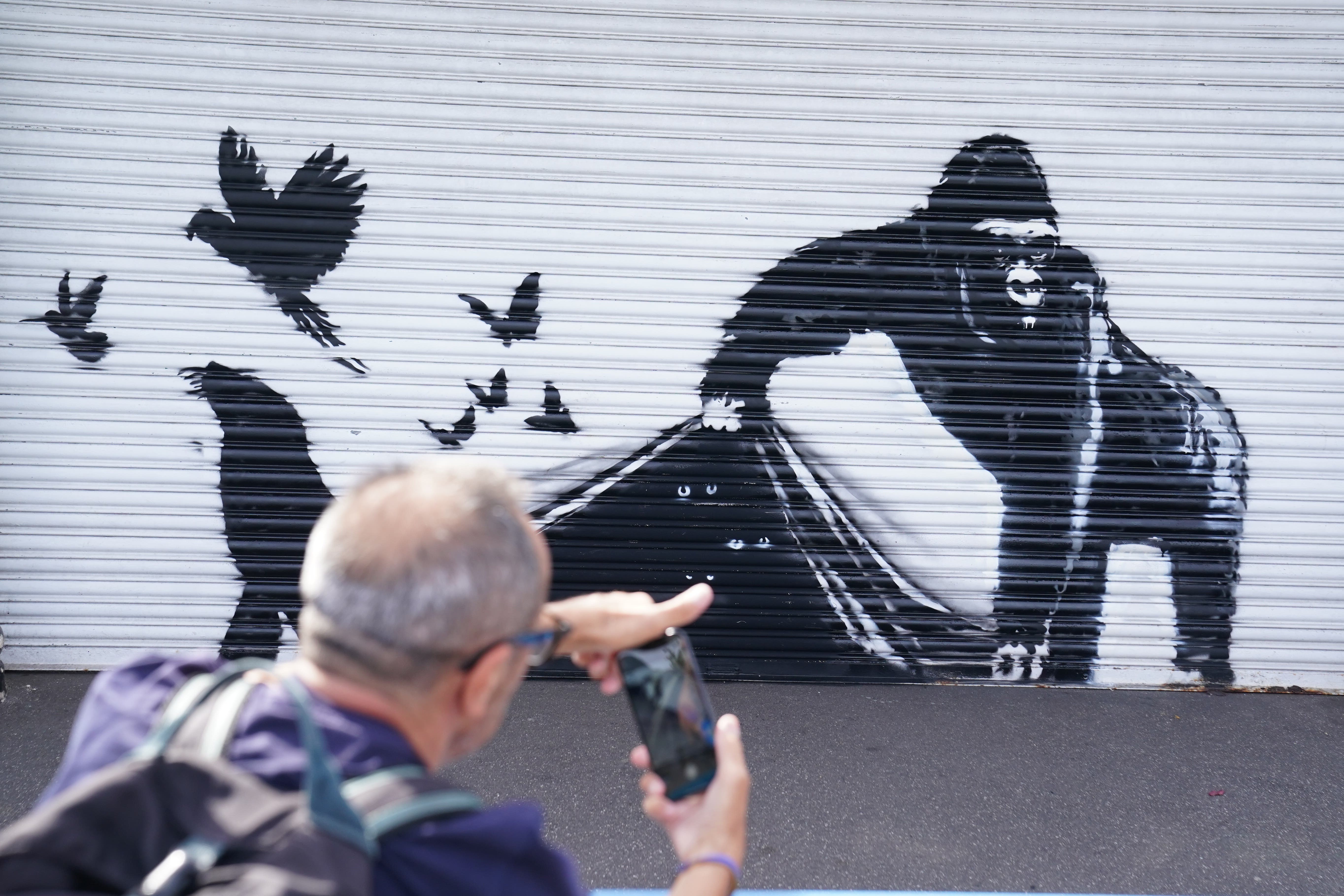 The new artwork unveiled by Banksy at London Zoo. (Stefan Rousseau/PA)