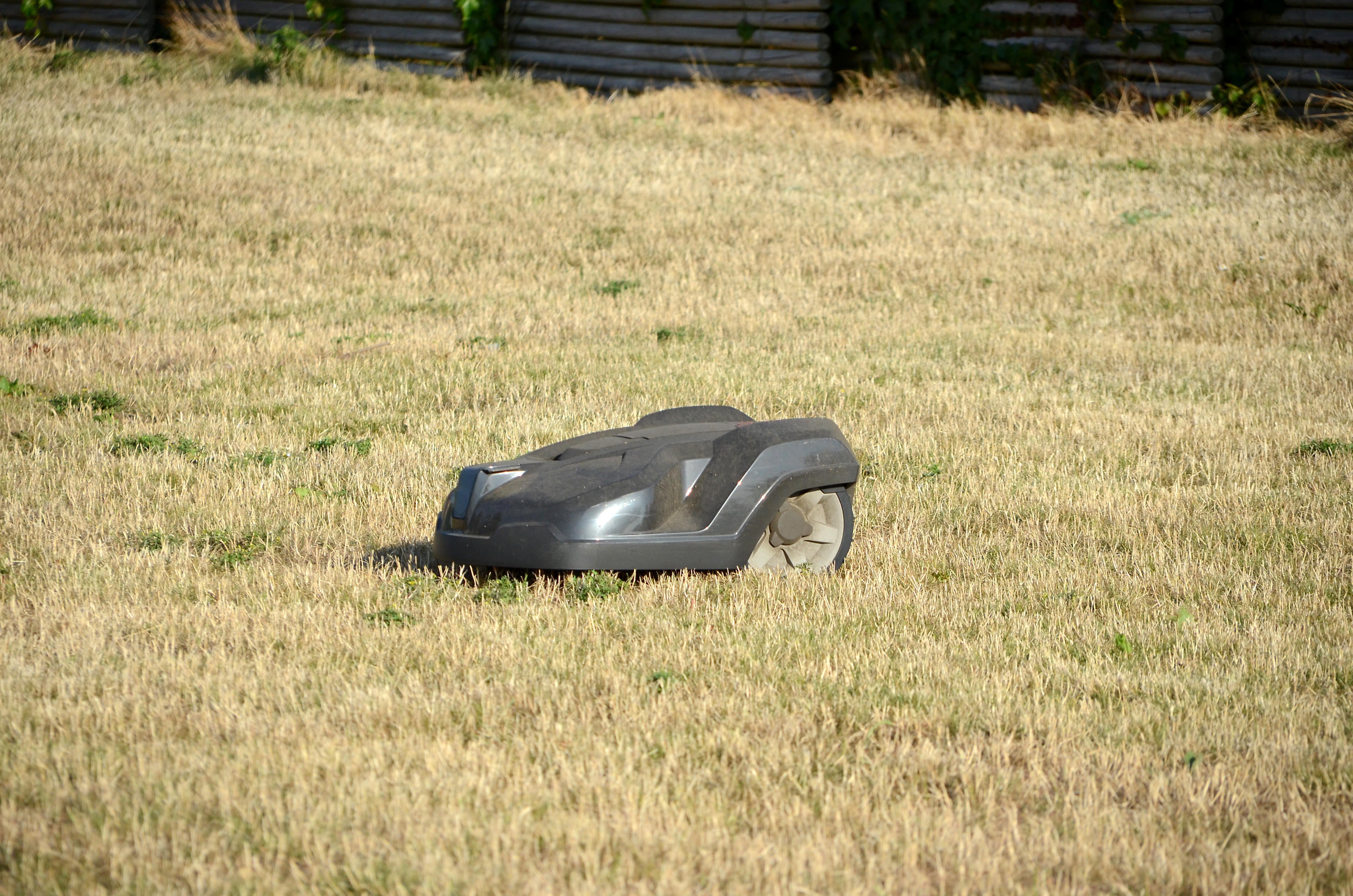 A robot lawn mower mowing a yellow lawn (Alamy/PA)