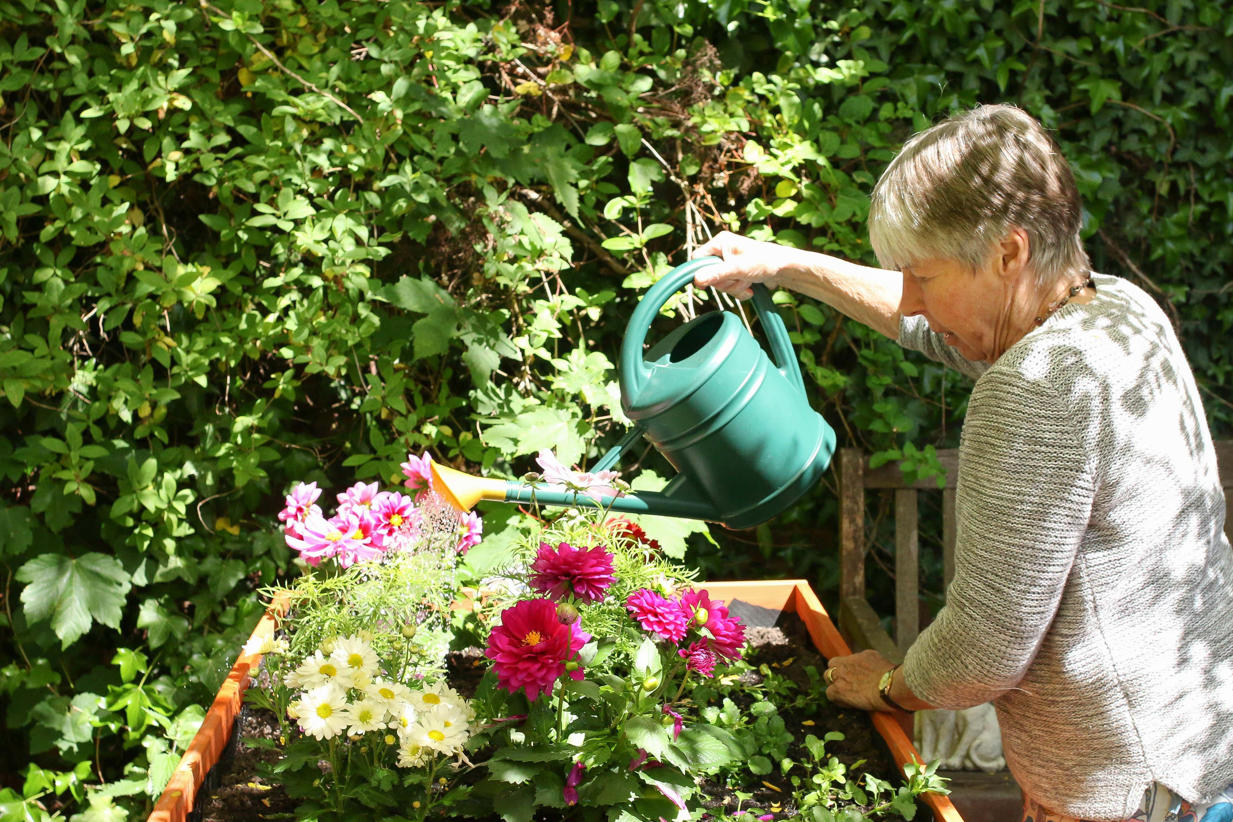 Your garden will need some extra care during scorching temperatures (Alamy/PA)