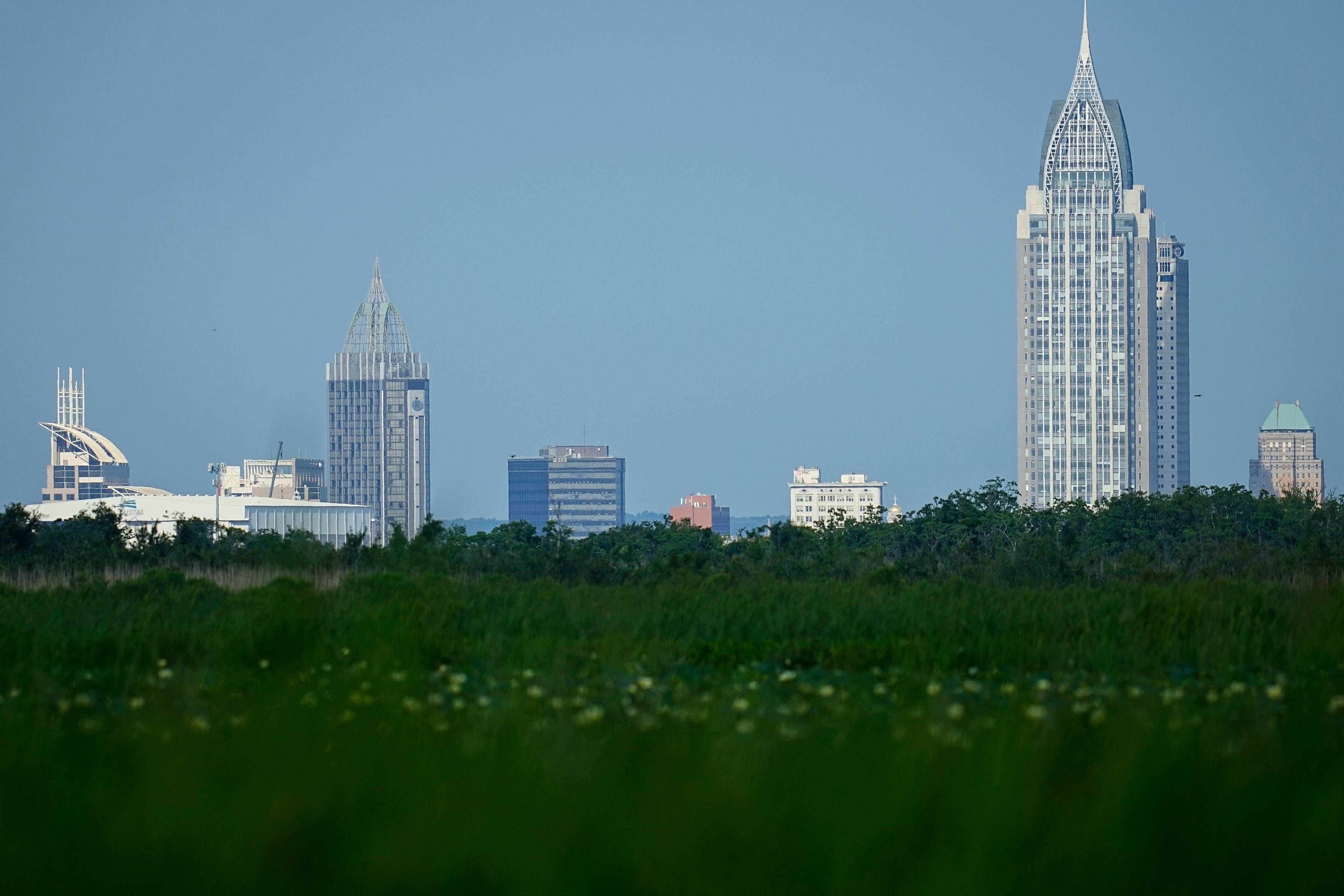 Mobile Tensaw Delta Takeaways