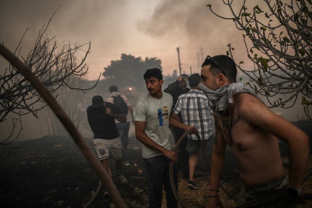 <p>Volunteers try to extinguish a wildfire near Penteli, Greece, on Monday</p>