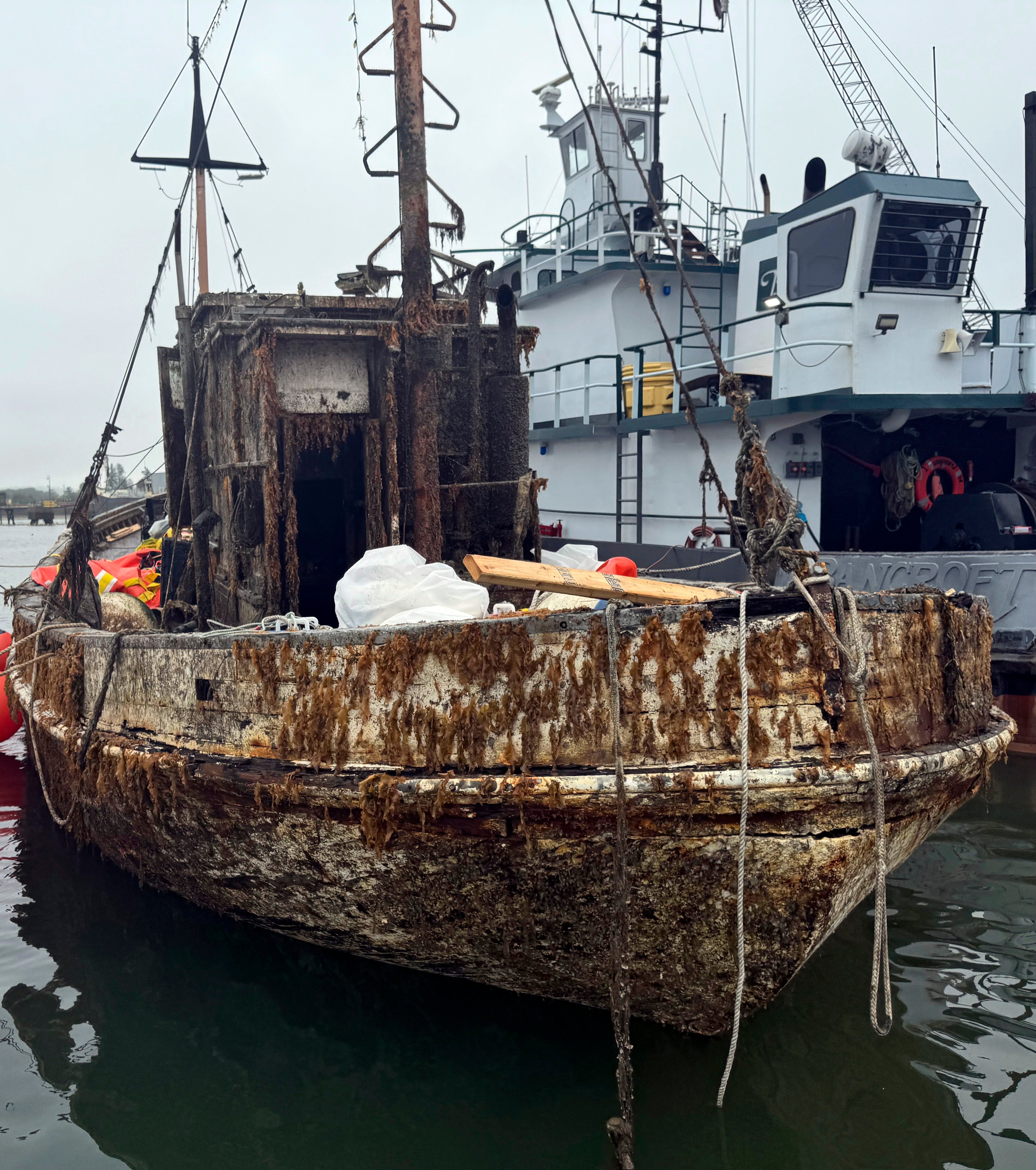 Historic Sardine Boat