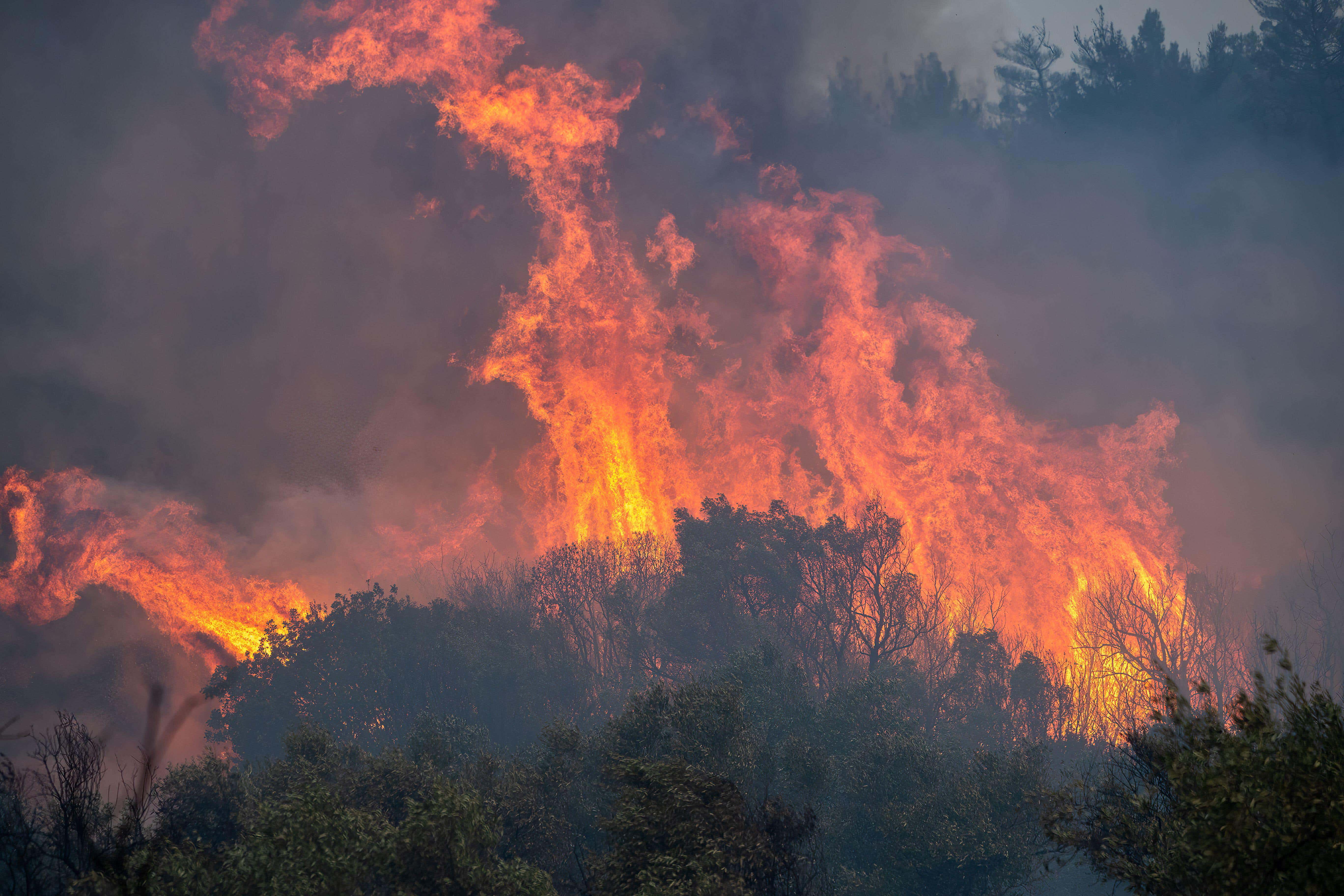 Forest fires in northern Greece in August 2023, in the biggest fire seen in Europe (Alamy/PA)