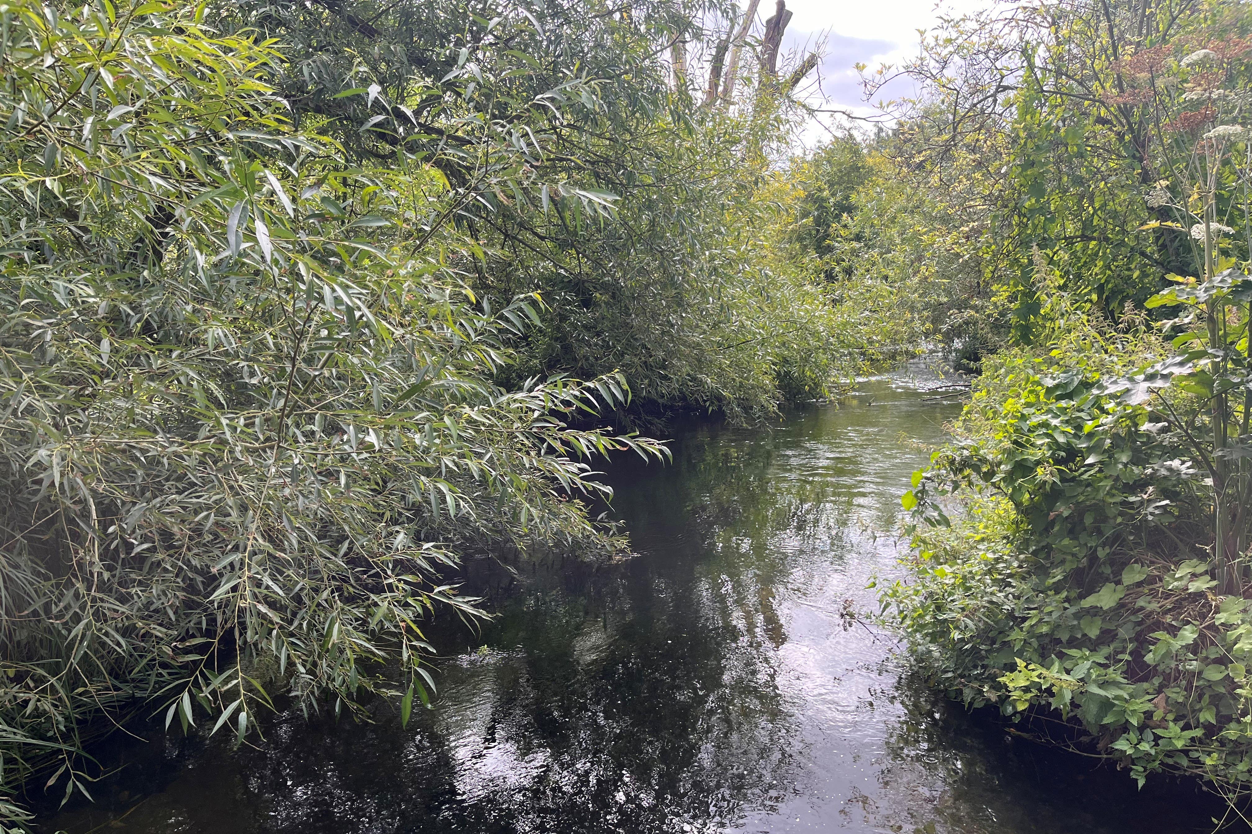 Conservationists are working to protect habitat such as chalk streams (Emily Beament/PA)