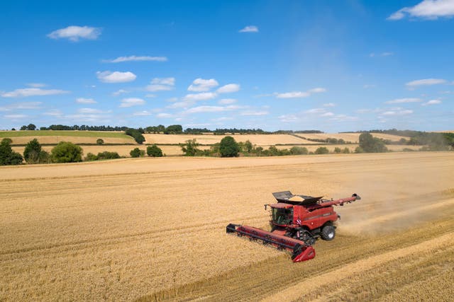 Self sufficiency day is the day when the UK’s supplies would run out if the country relied on homegrown food only (Joe Giddens/PA)