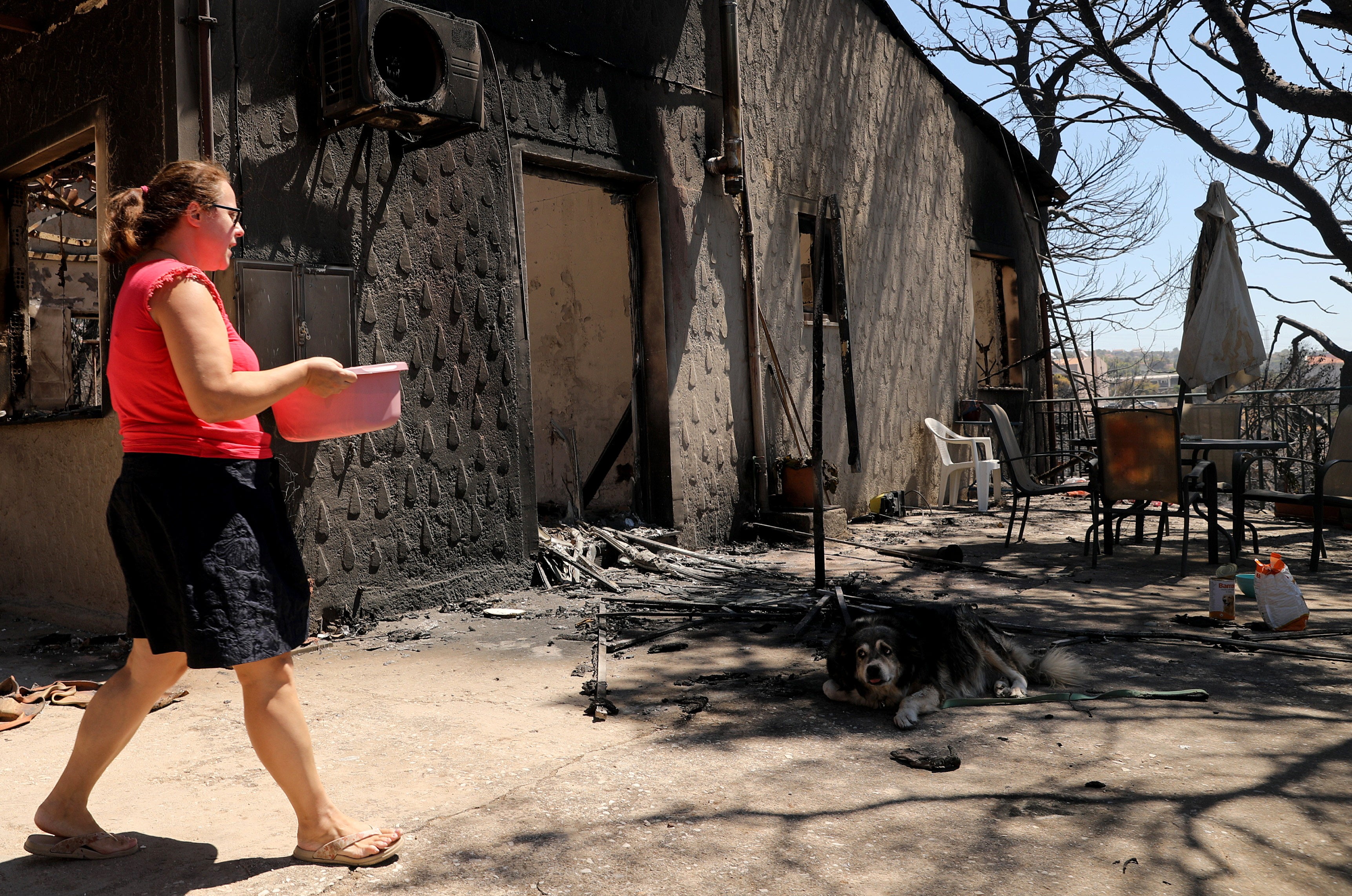 A woman brings water to an injured dog in the courtyard of a burnt house, after a wildfire in the area of Vrilissia close to Athens city, Greece