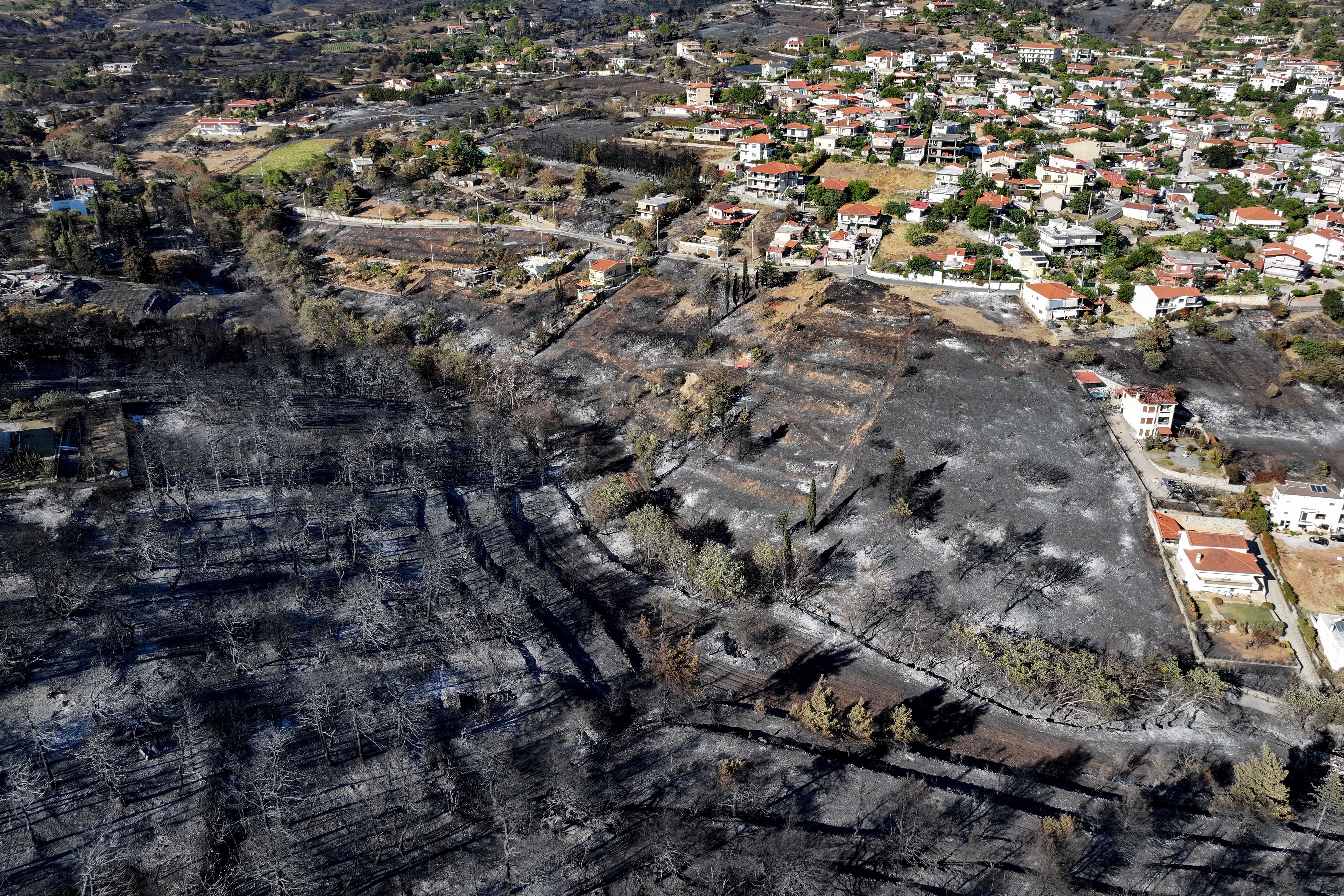 Ein von einer Drohne aufgenommenes Foto zeigt ein verbranntes Waldgebiet nach einem Waldbrand im Dorf Varnavas, Griechenland.