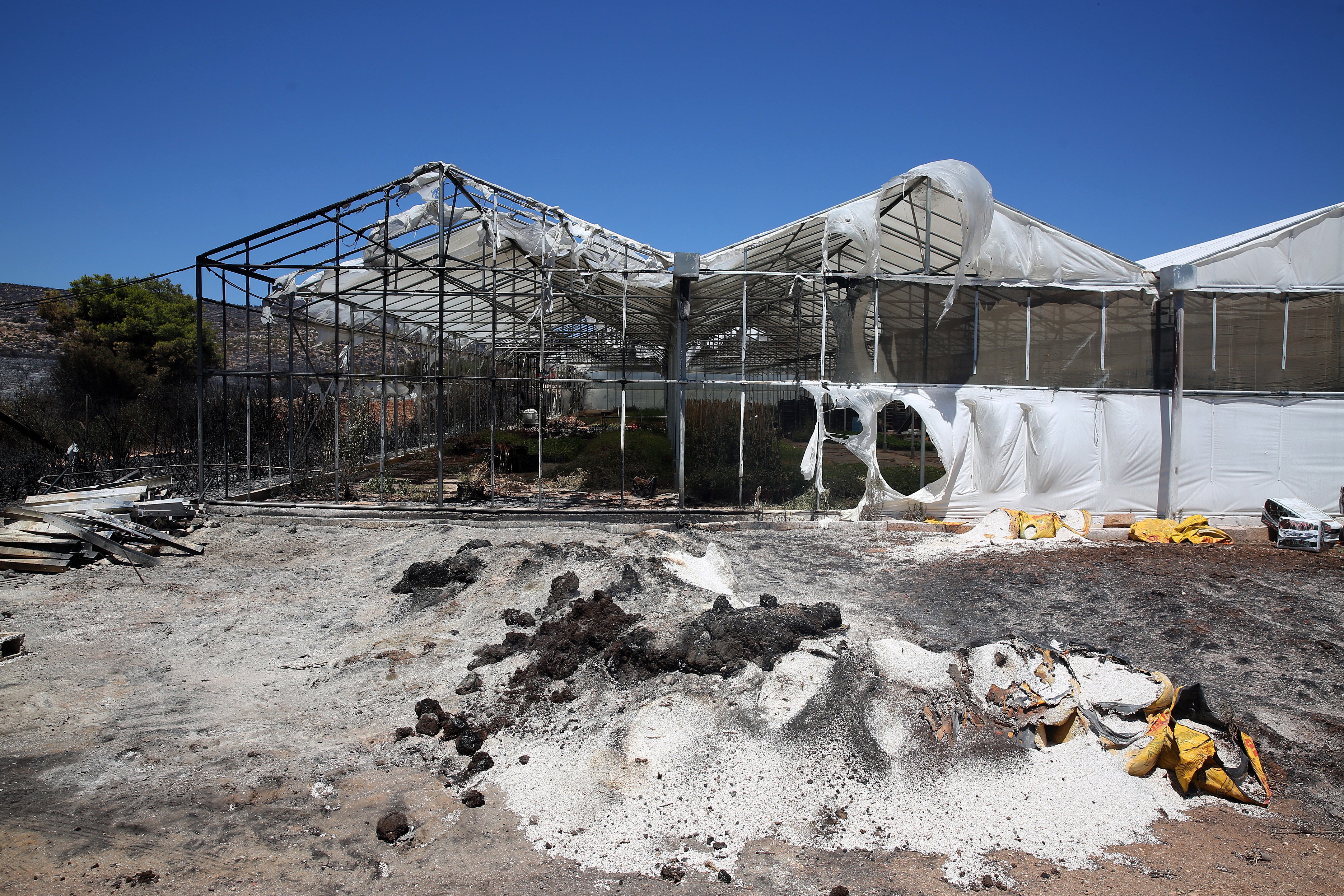 A greenhouse destroyed by a forest fire in Marathon, Attica, Greece