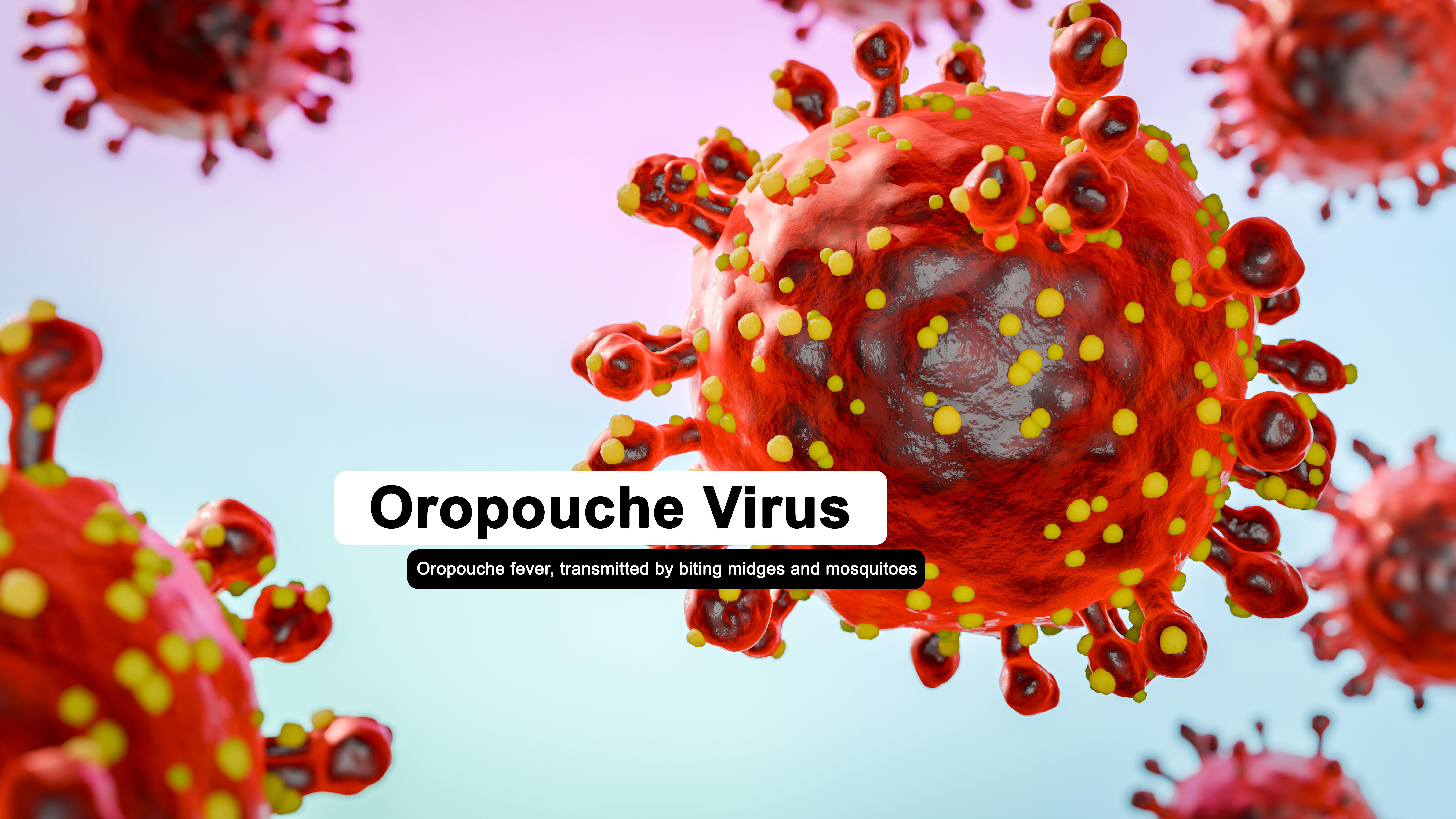 Illustration of the Oropouche virus that causes Oropouche fever, an emerging disease in the Americas (Alamy/PA)