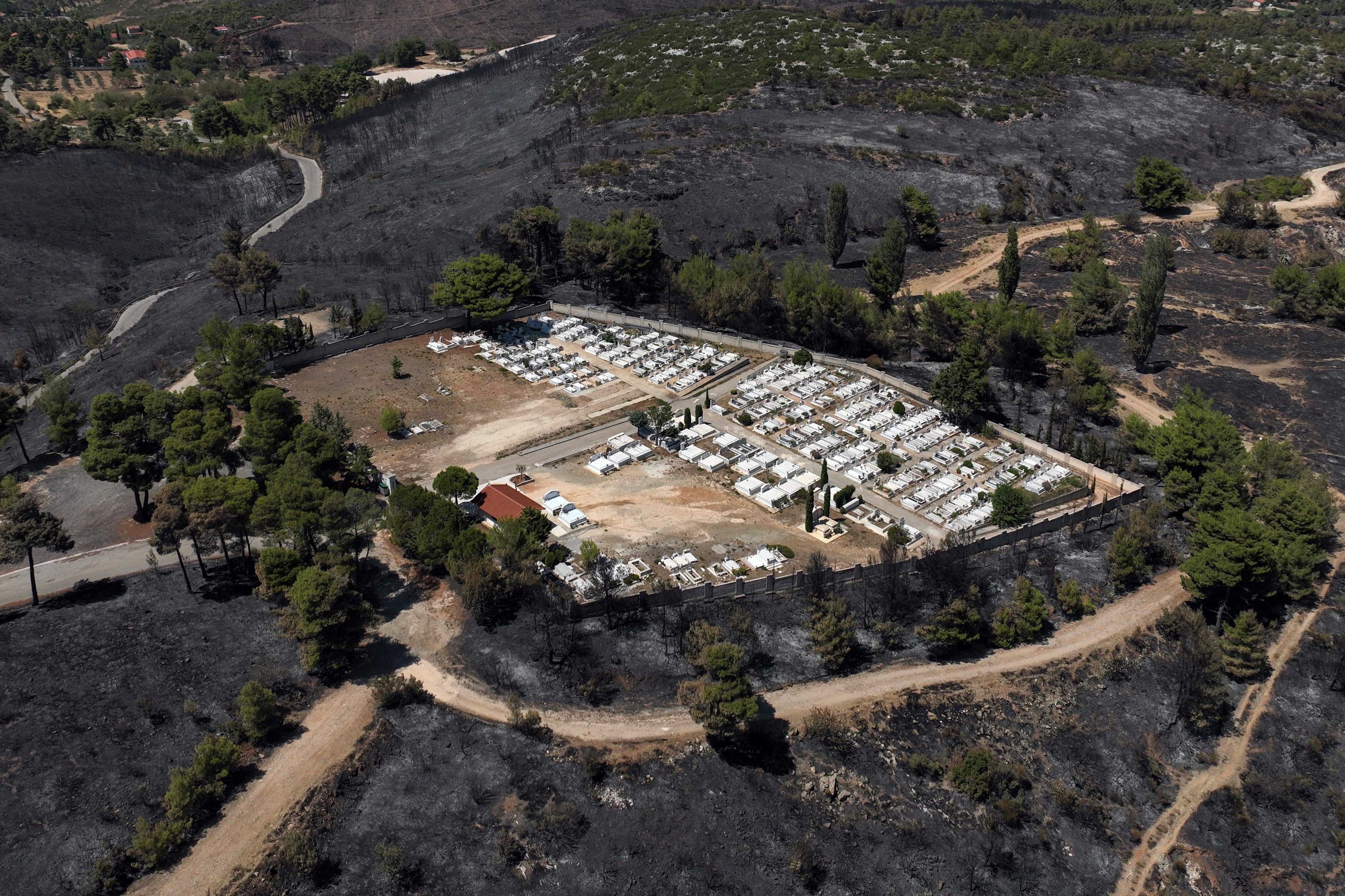 A drone view shows a charred forest area around cemetery following a wildfire, in Dionysos, near Athens